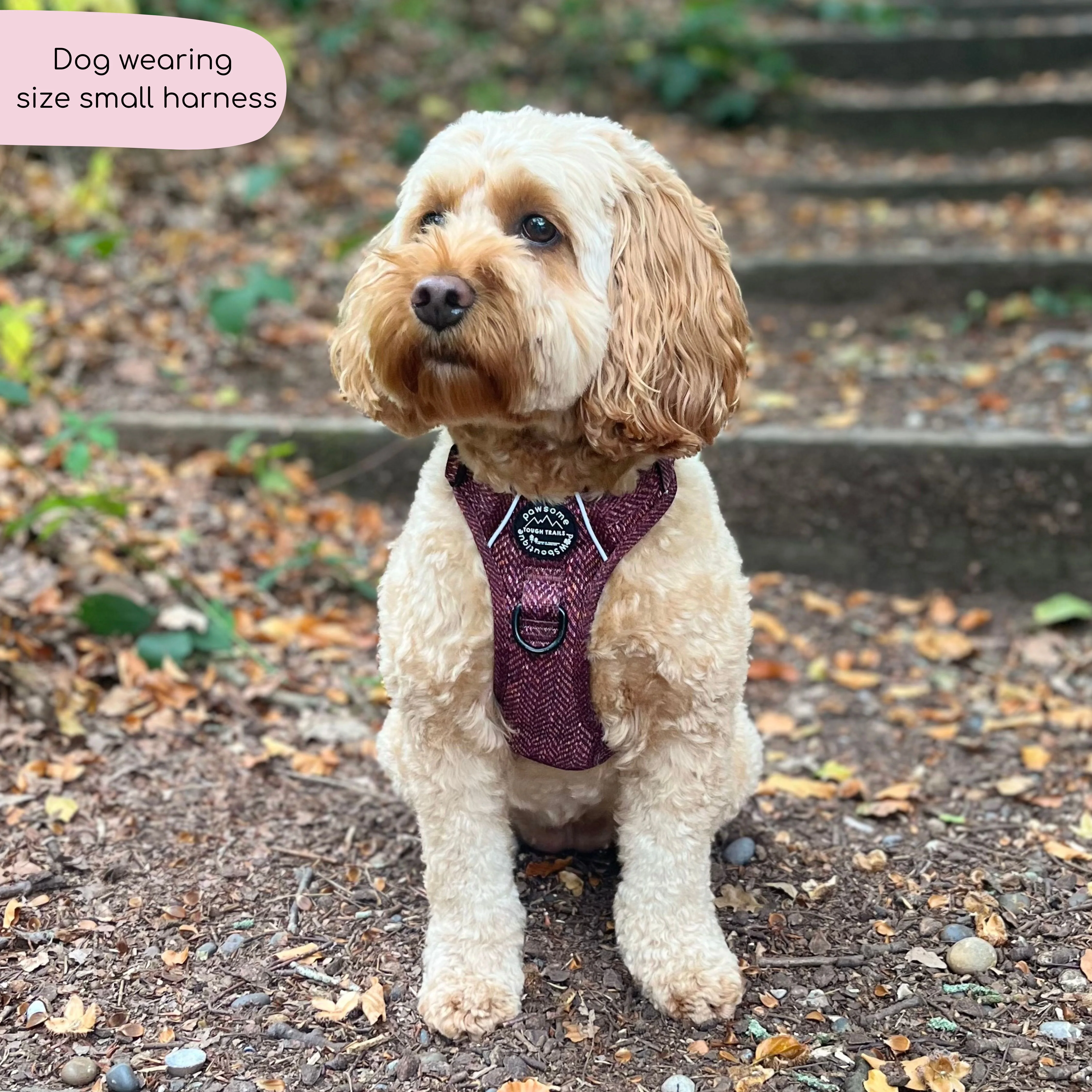 Tough Trails™ Harness - Country Burgundy - Image 10