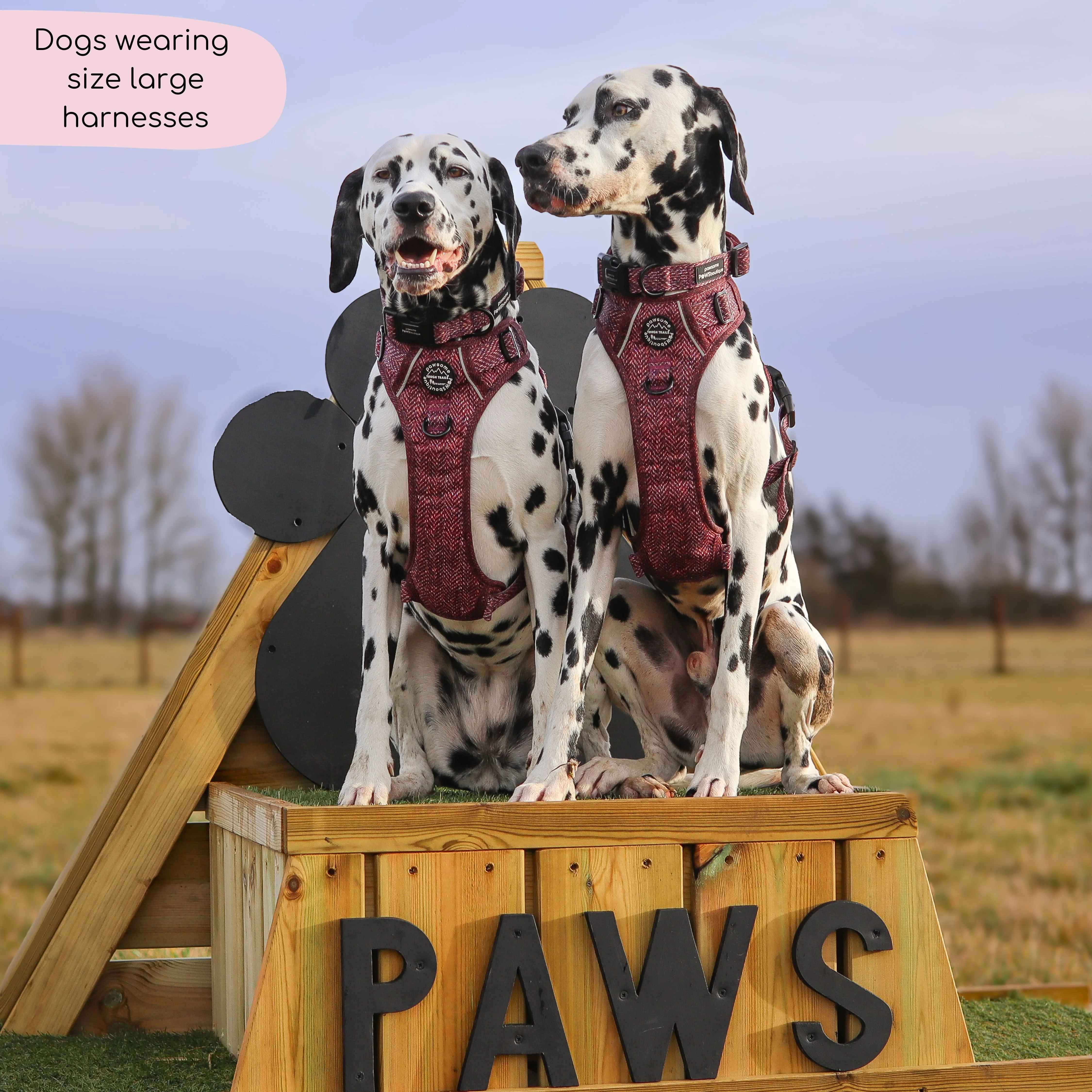 Tough Trails™ Harness - Country Burgundy - Image 4