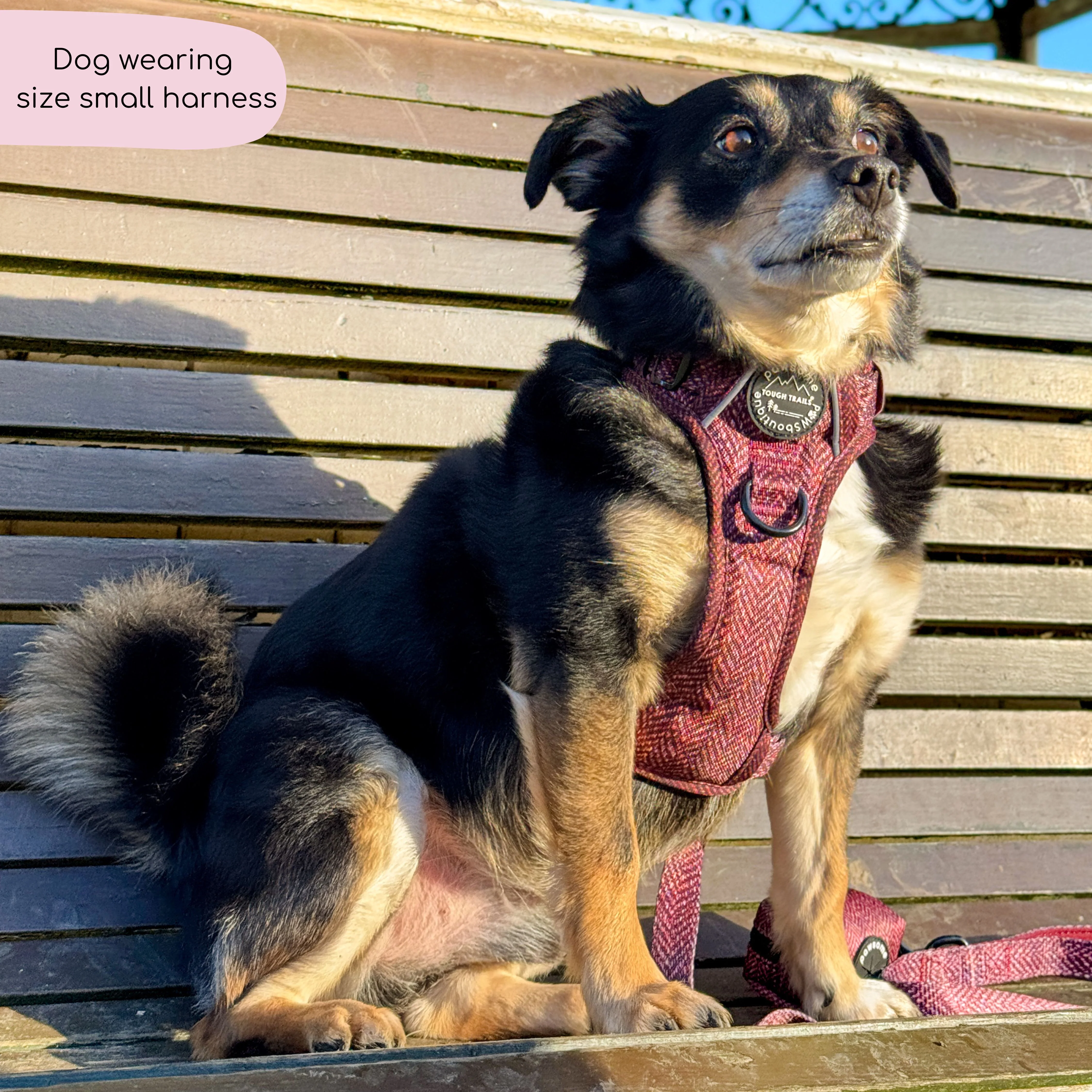 Tough Trails™ Harness - Country Burgundy - Image 5