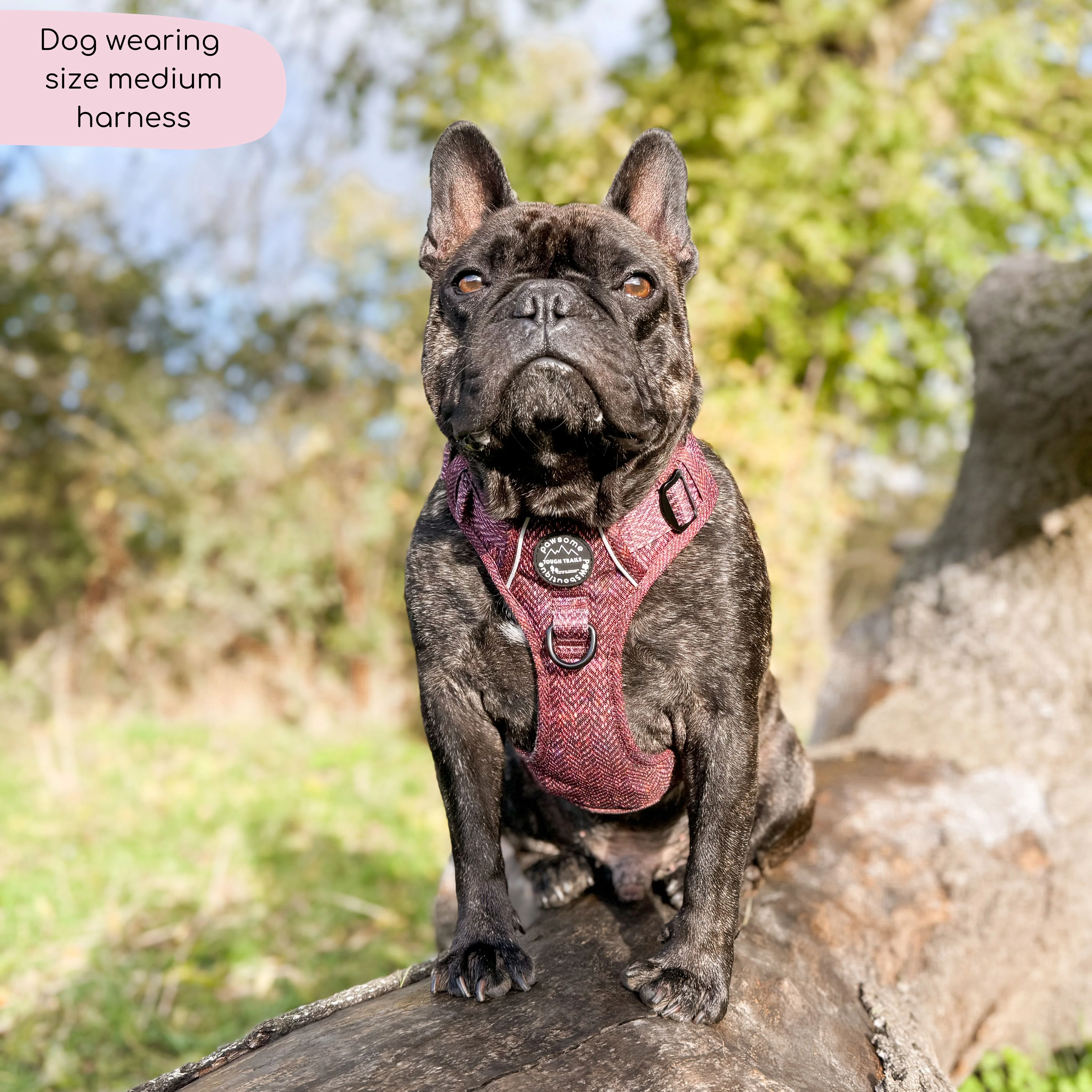 Tough Trails™ Harness - Country Burgundy - Image 7