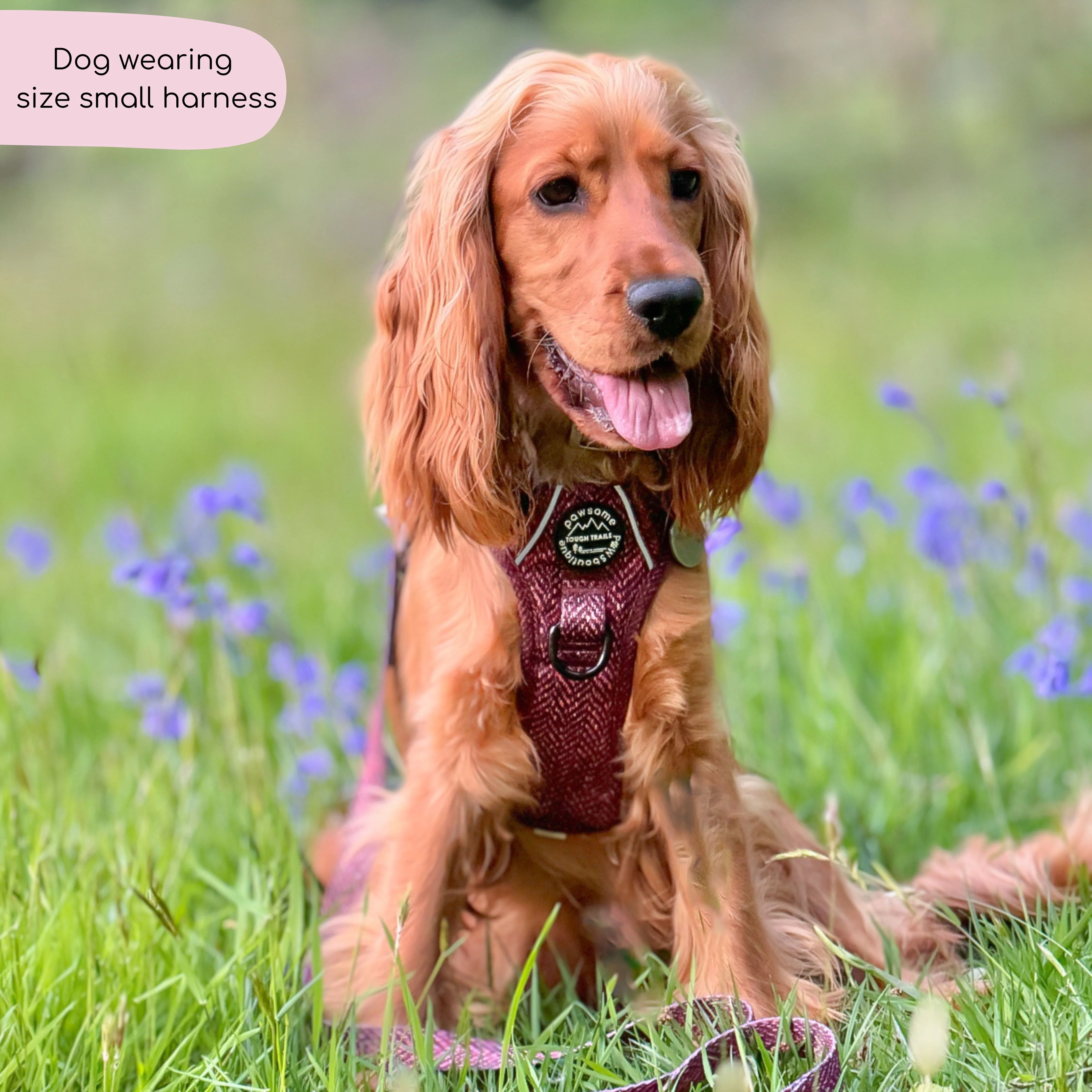 Tough Trails™ Harness - Country Burgundy - Image 8