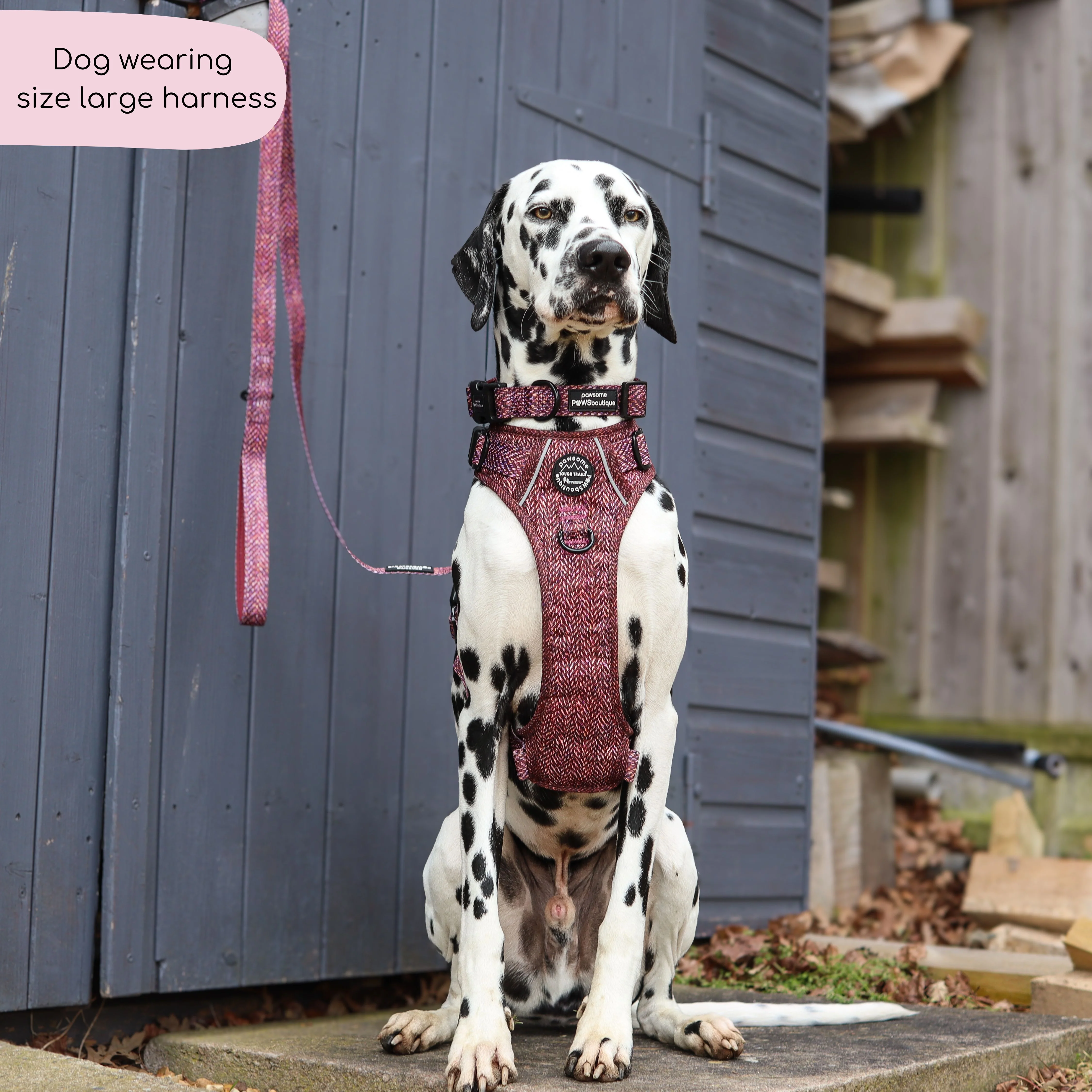 Tough Trails™ Harness - Country Burgundy - Image 9