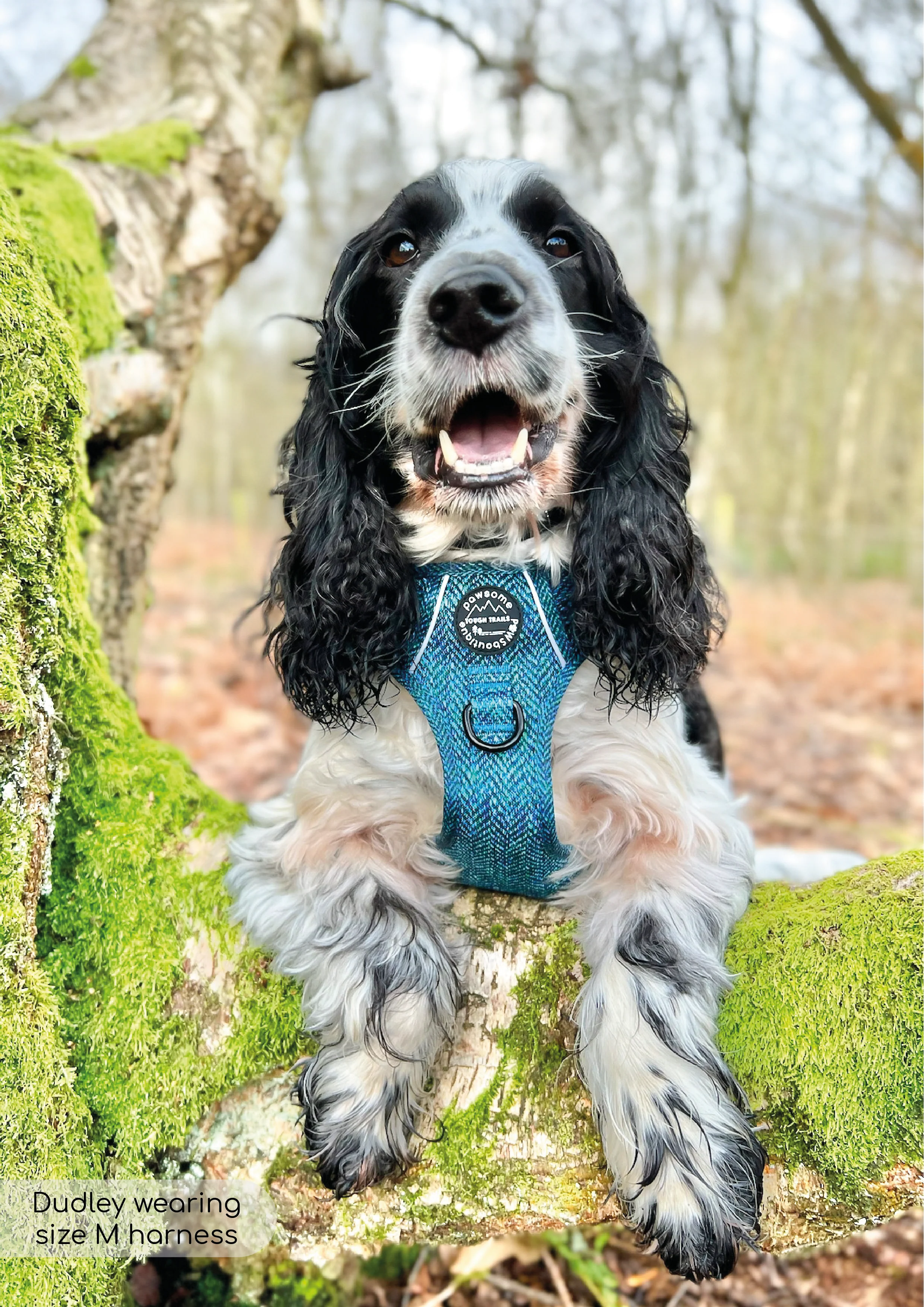 Tough Trails⢠Harness - Country Teal - Image 6
