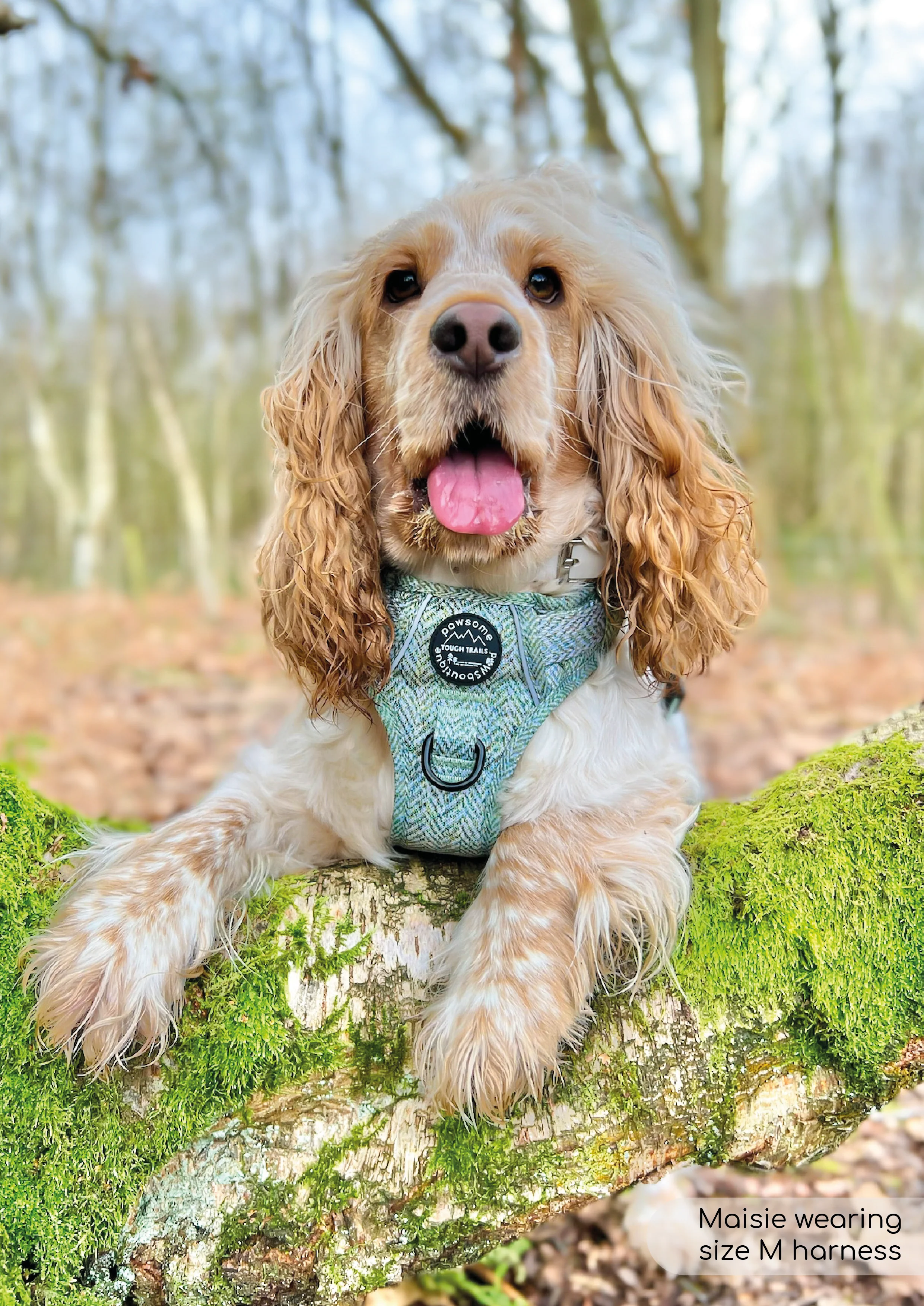 Tough Trails⢠Harness - Country Thyme - Image 11