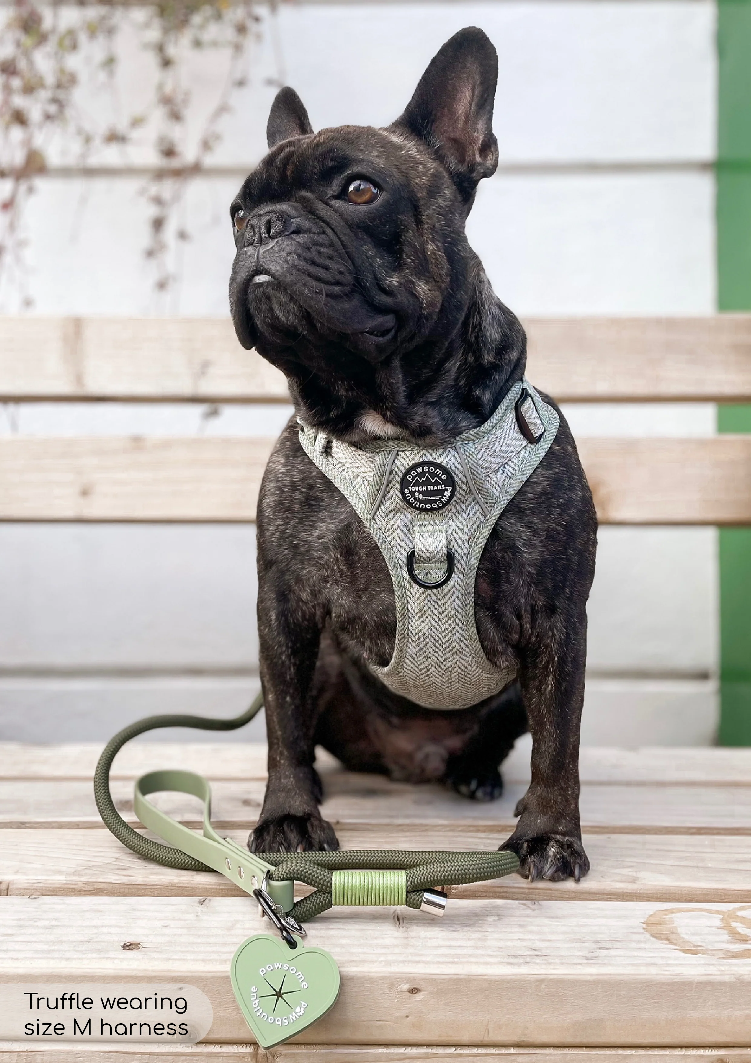 Tough Trails⢠Harness - Country Thyme - Image 14