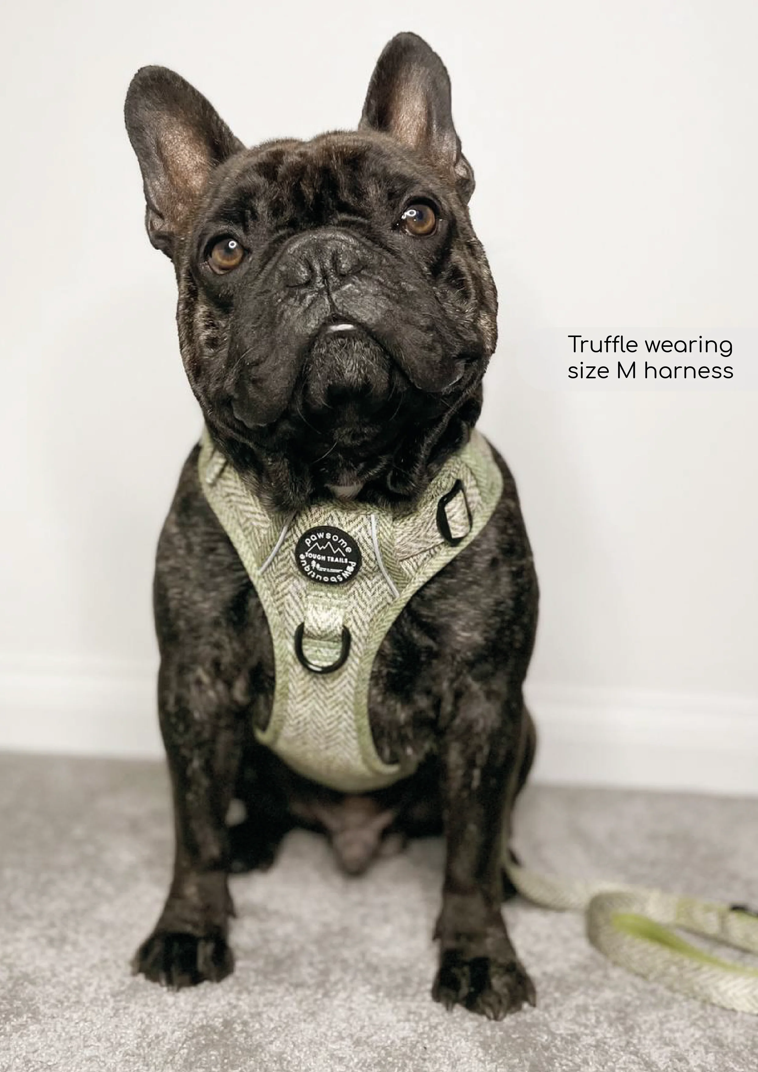 Tough Trails⢠Harness - Country Thyme - Image 6