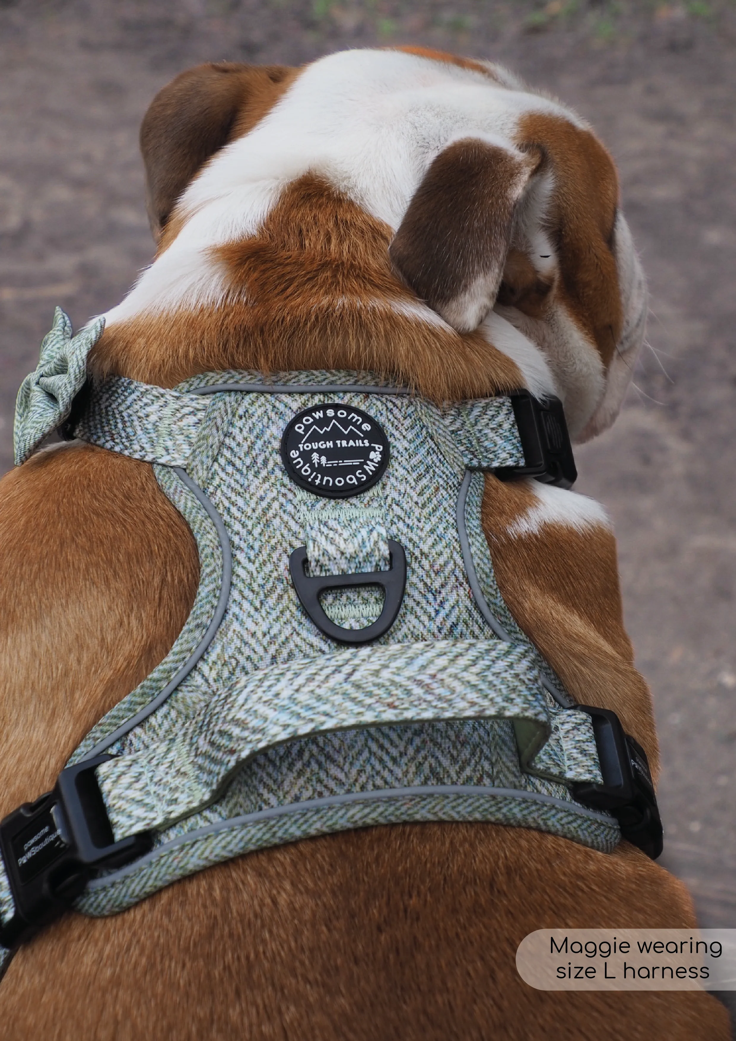 Tough Trails⢠Harness - Country Thyme - Image 8