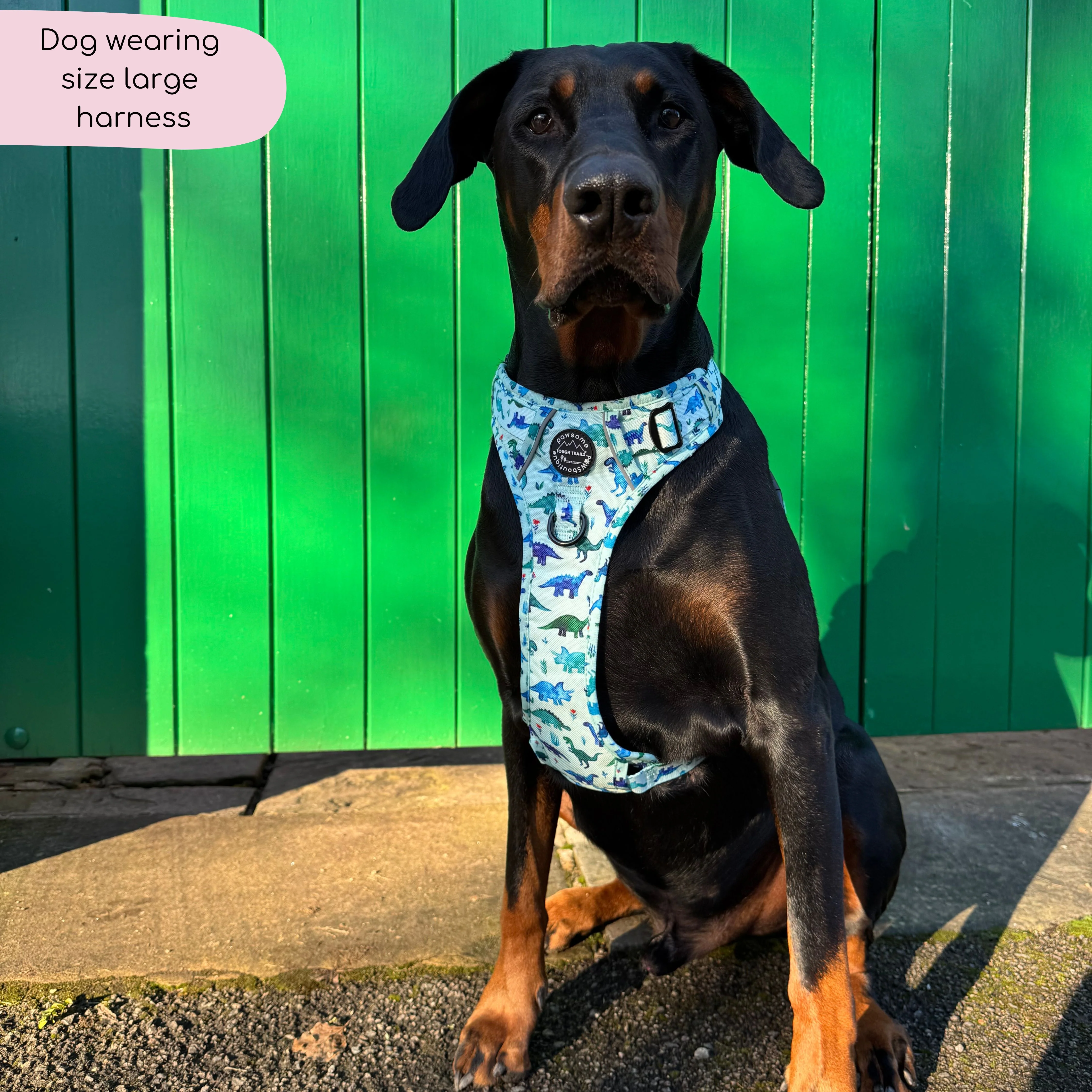 Tough Trails™ Harness - Dinky Dino - Image 10