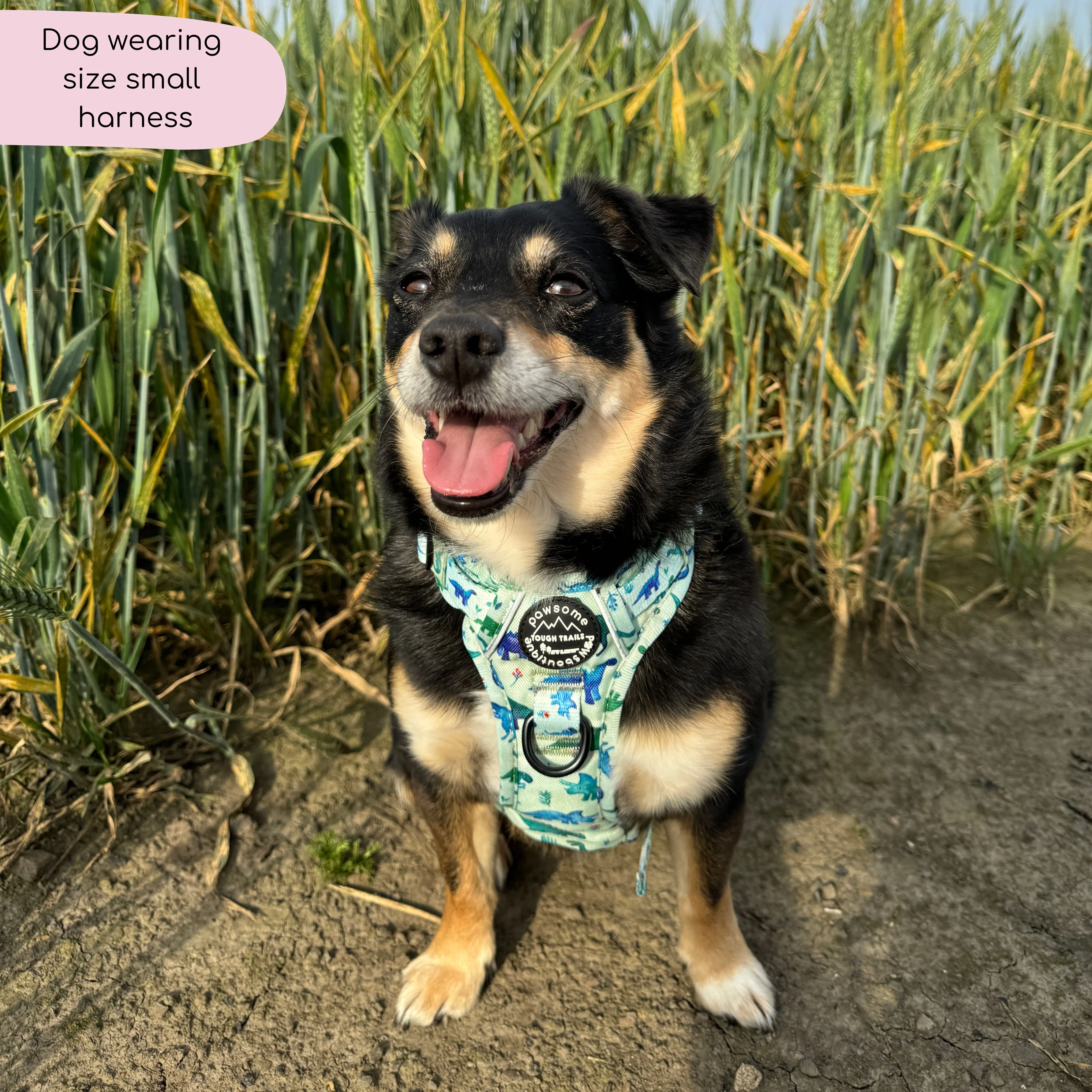 Tough Trails™ Harness - Dinky Dino - Image 11