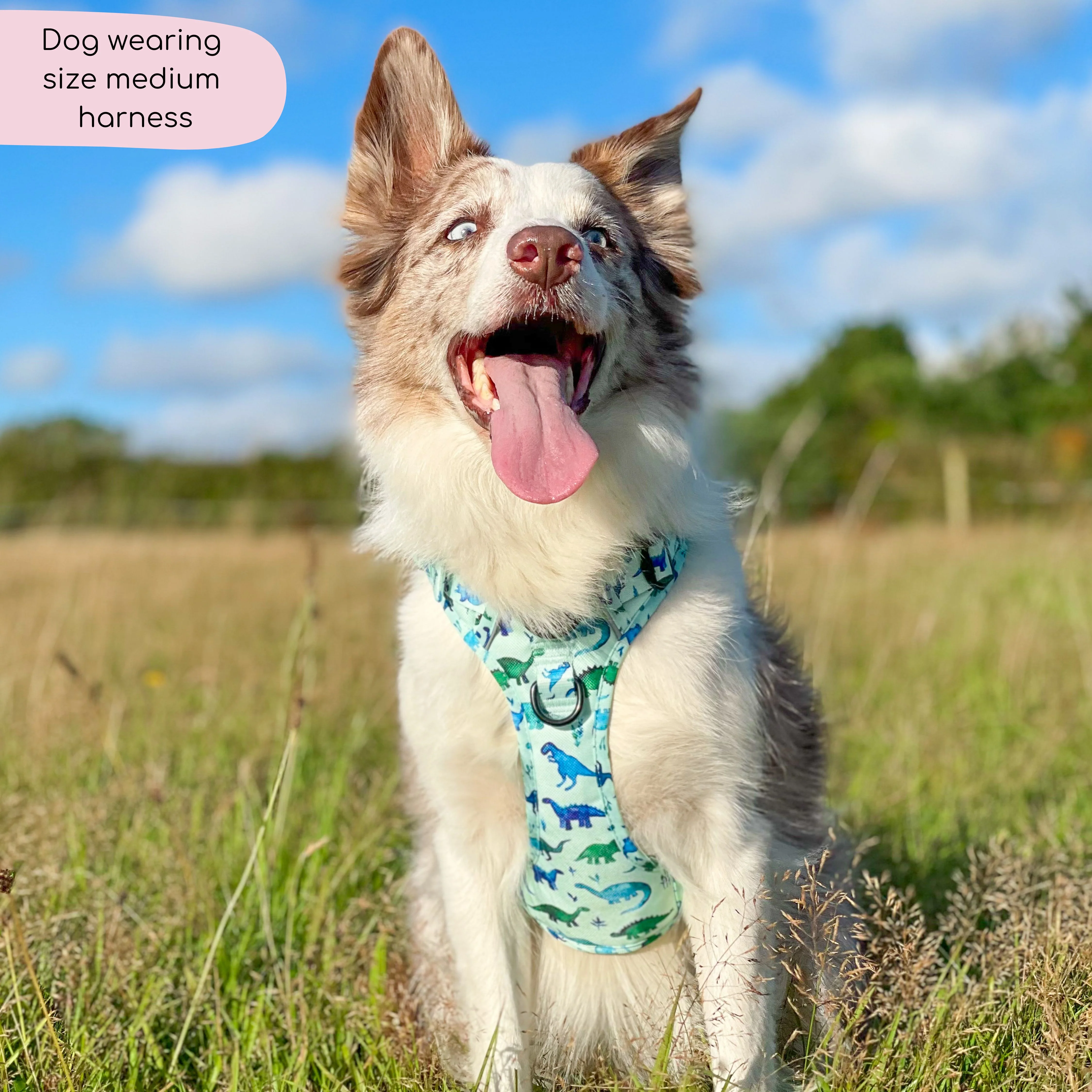 Tough Trails™ Harness - Dinky Dino - Image 12