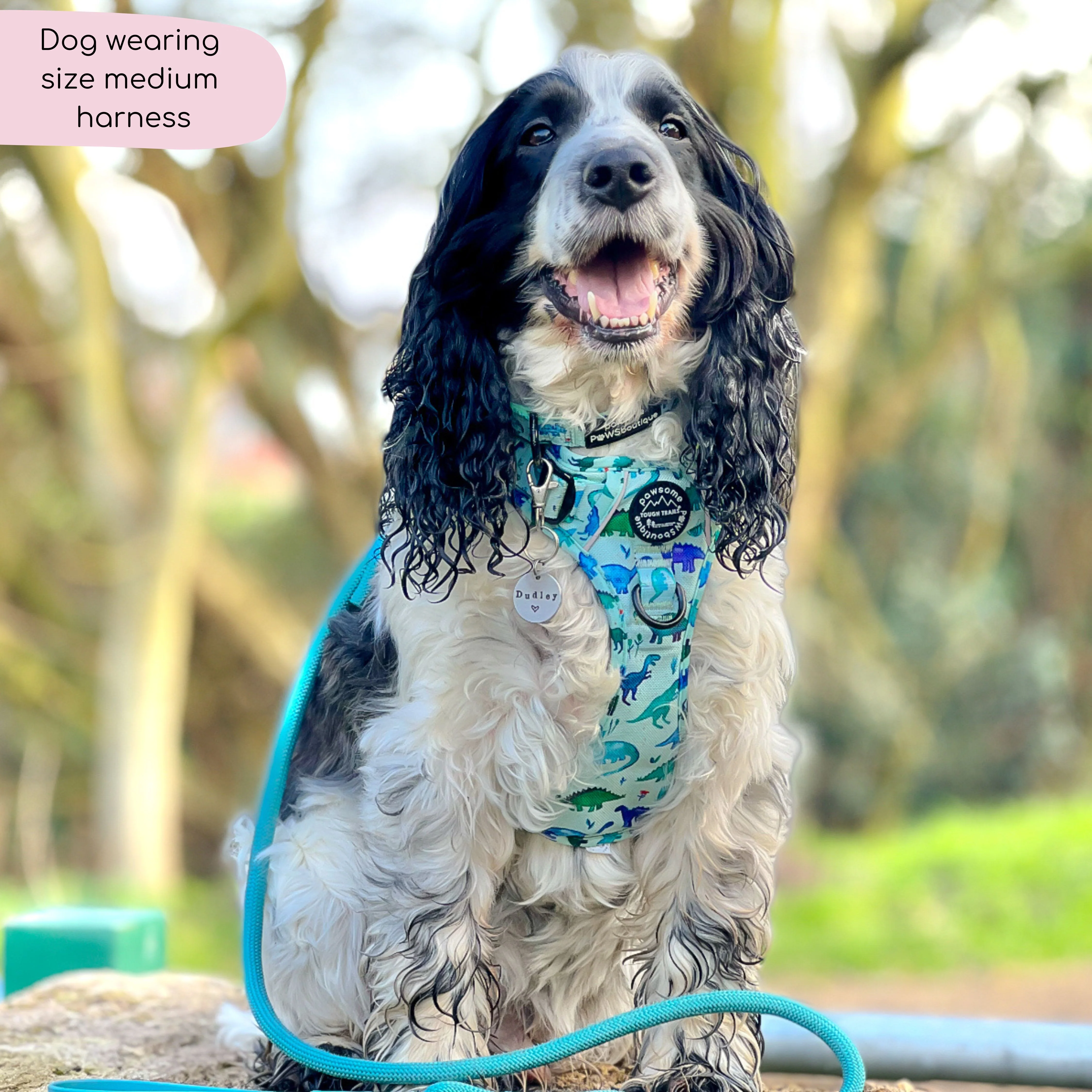 Tough Trails™ Harness - Dinky Dino - Image 15