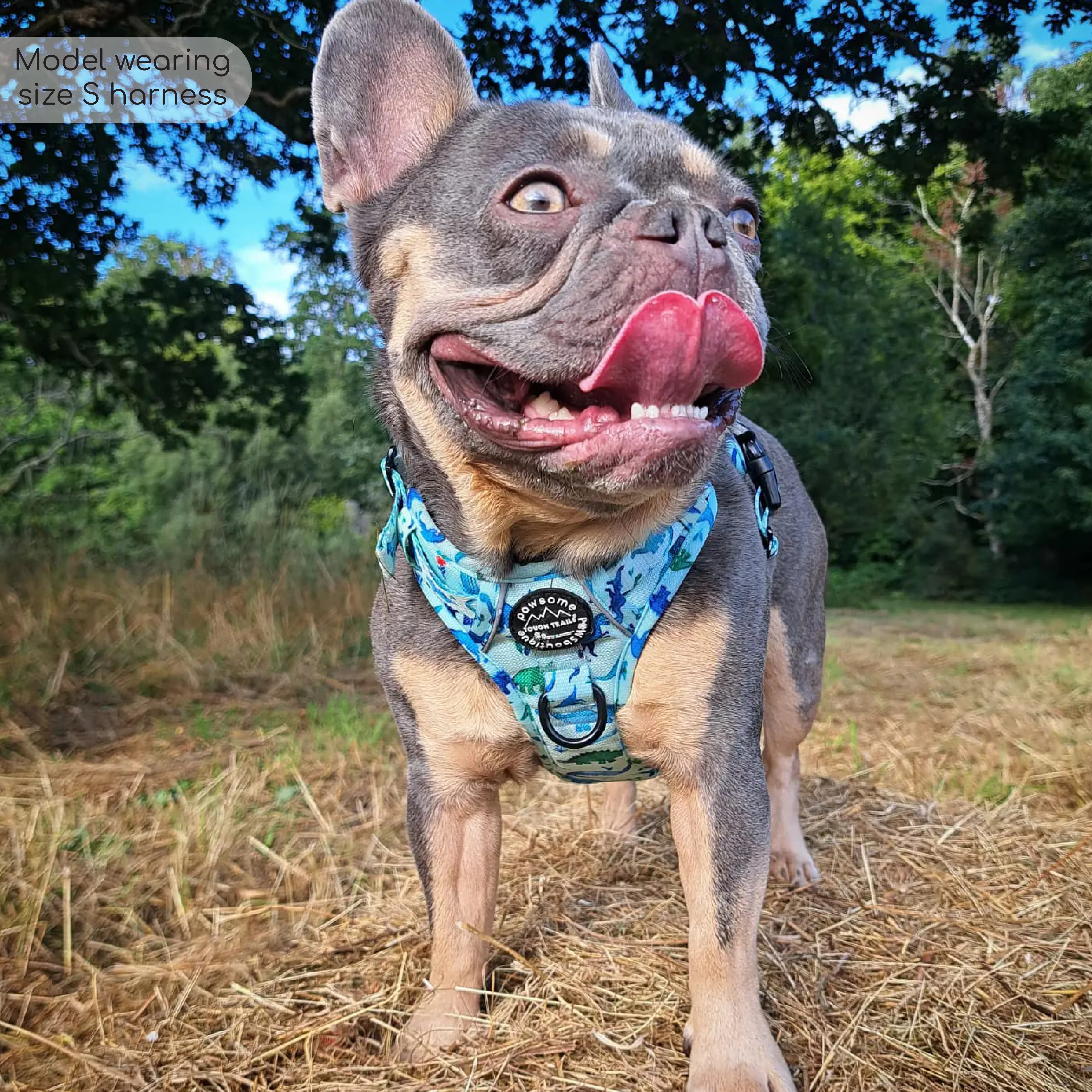 Tough Trails™ Harness - Dinky Dino - Image 16