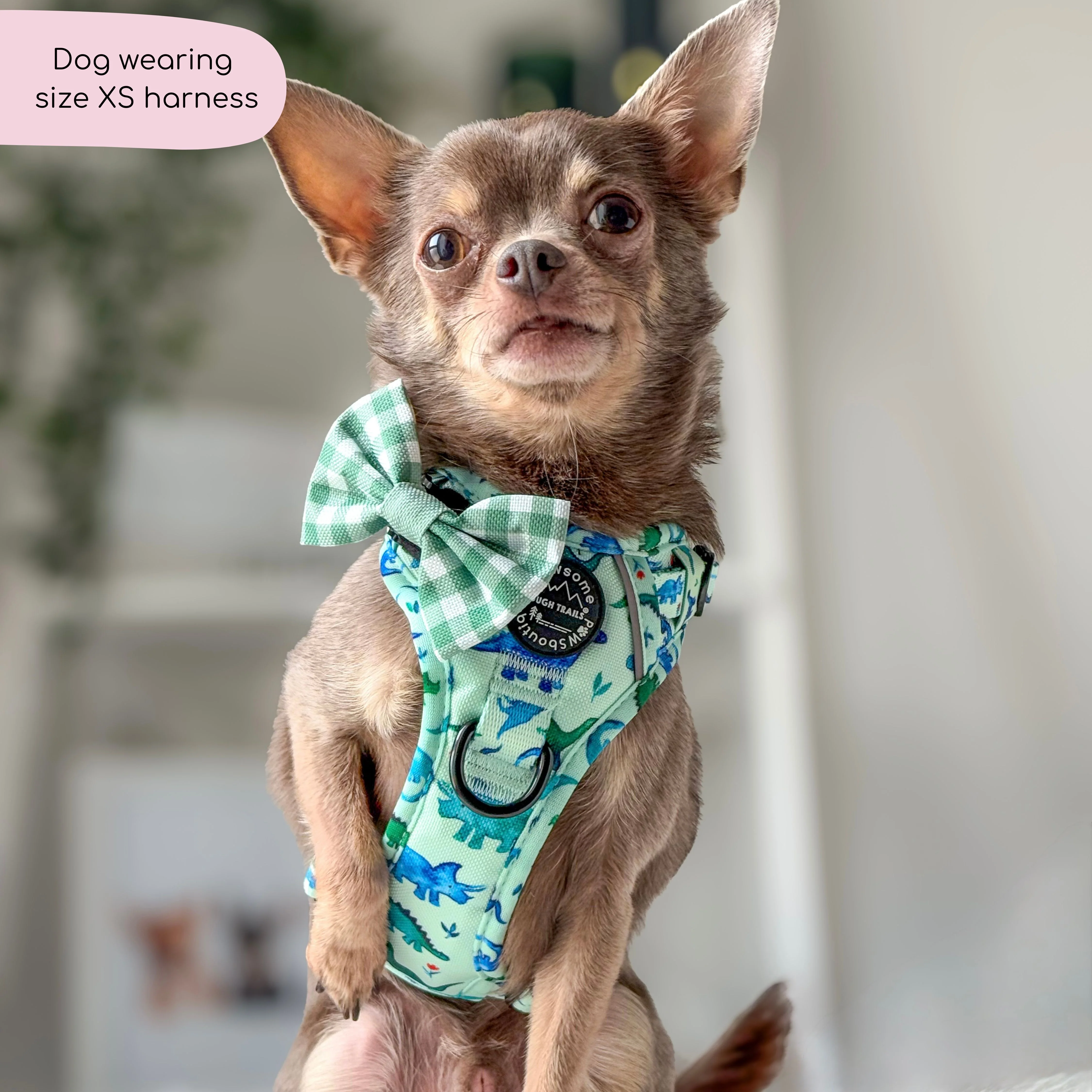 Tough Trails™ Harness - Dinky Dino - Image 17