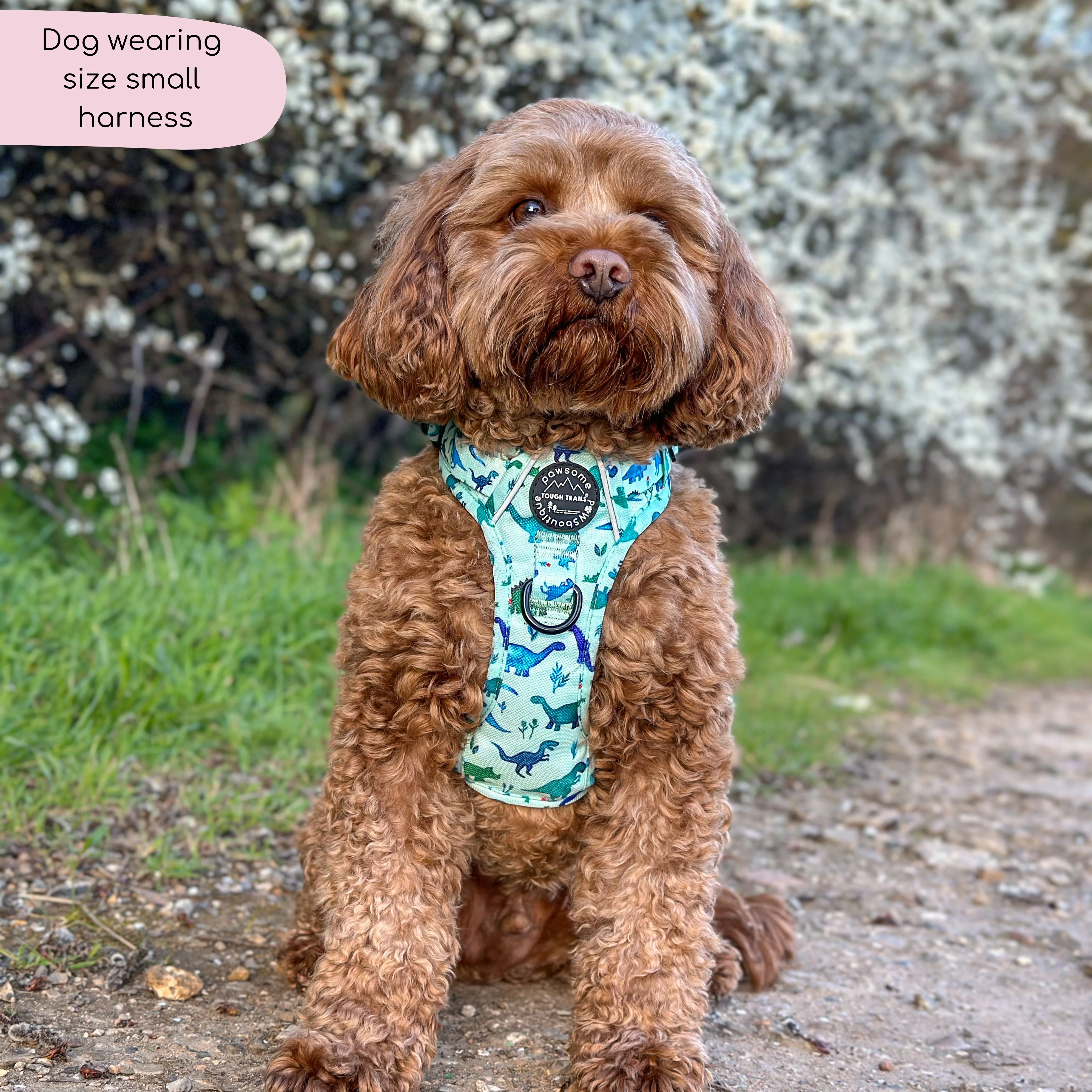 Tough Trails™ Harness - Dinky Dino - Image 4