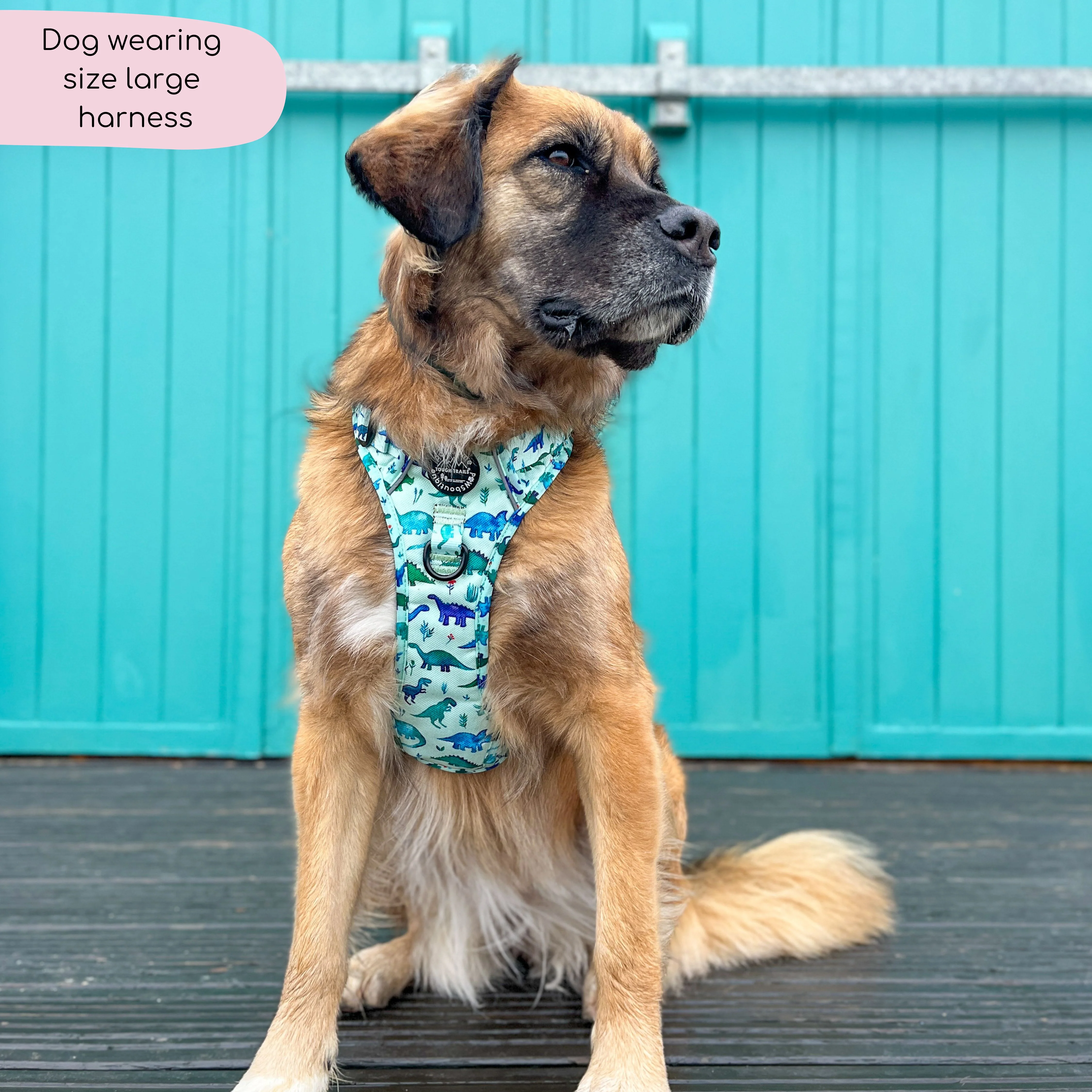 Tough Trails™ Harness - Dinky Dino - Image 6