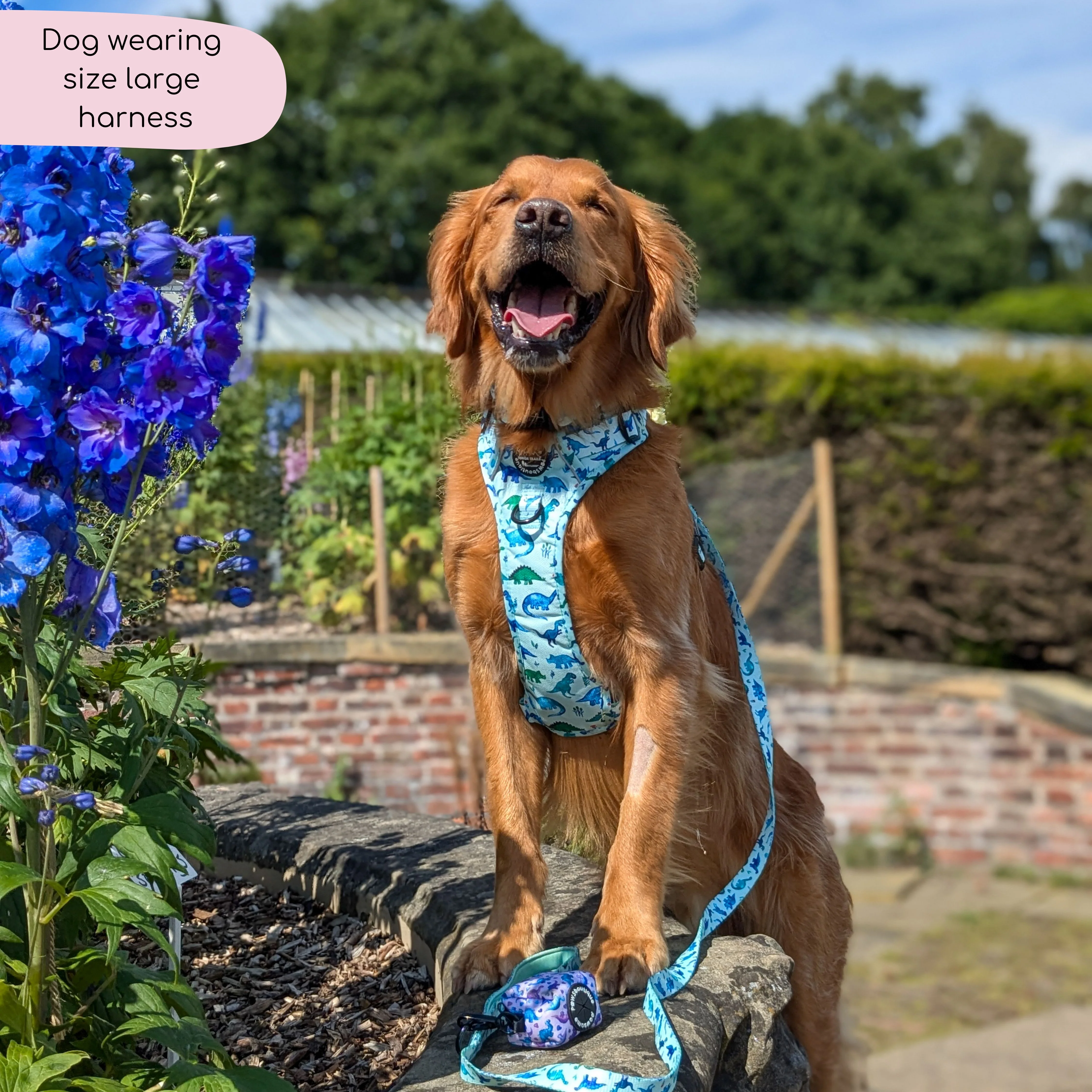 Tough Trails™ Harness - Dinky Dino - Image 7