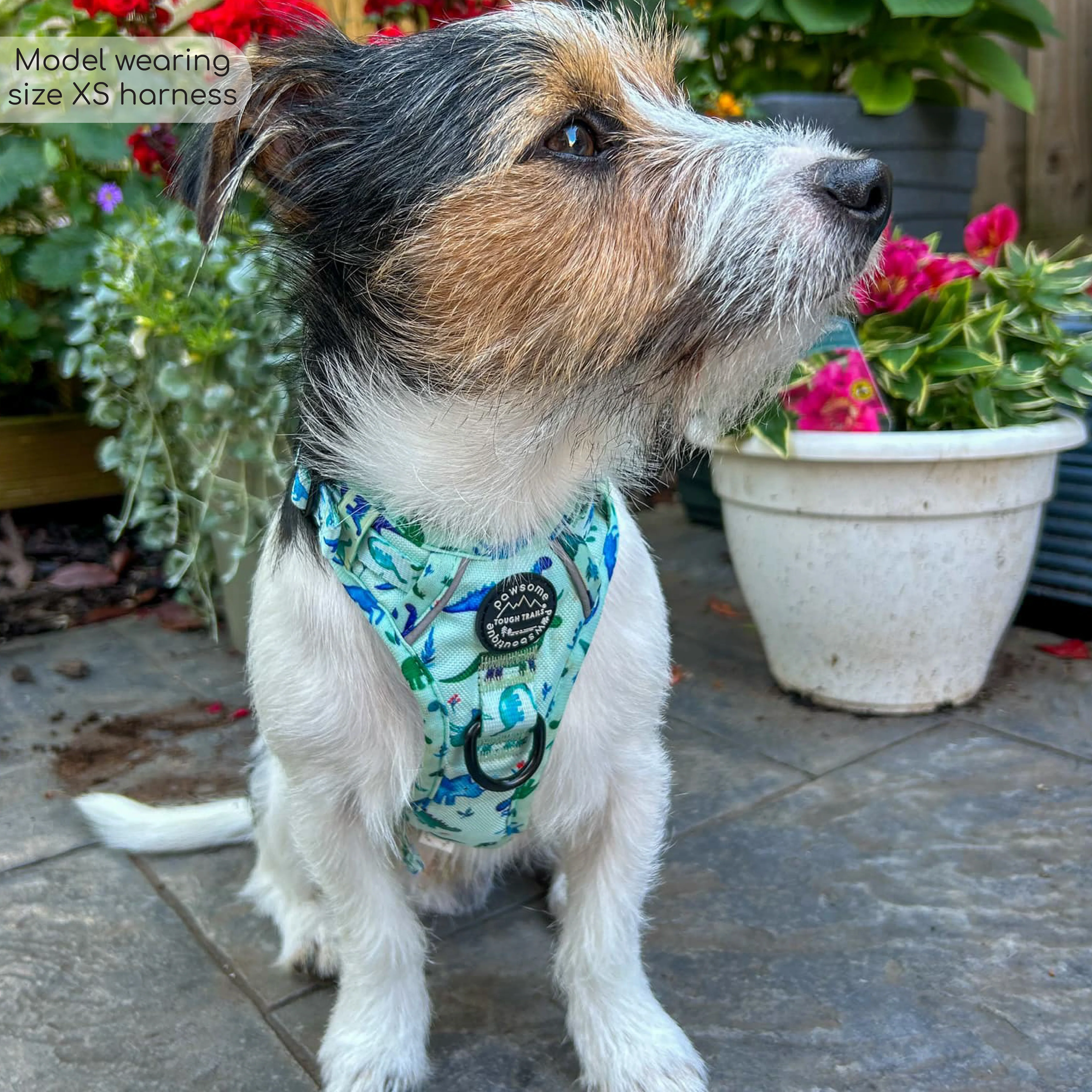 Tough Trails™ Harness - Dinky Dino - Image 9