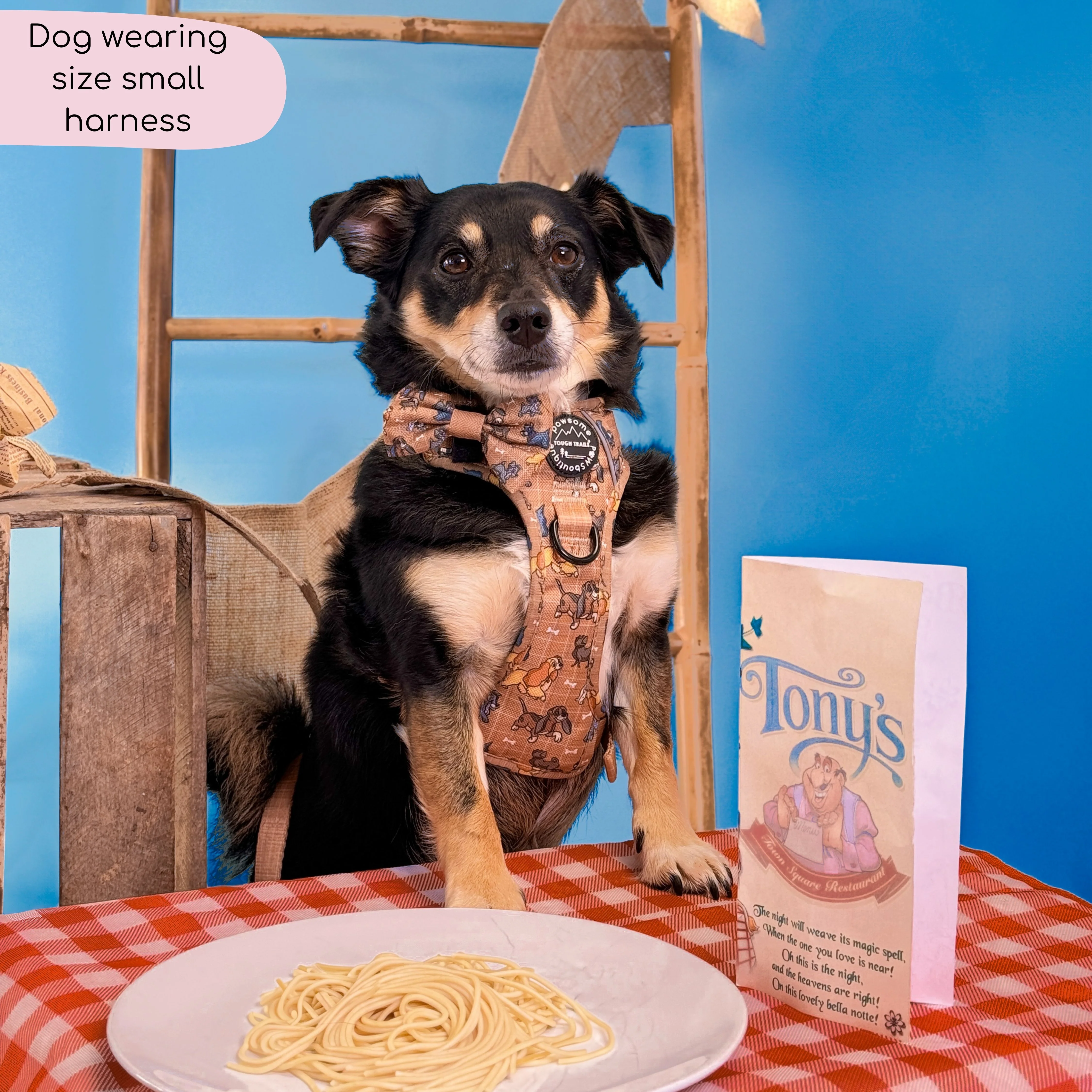 Disney© Tough Trails™ Harness - Disney Dogs - Image 13