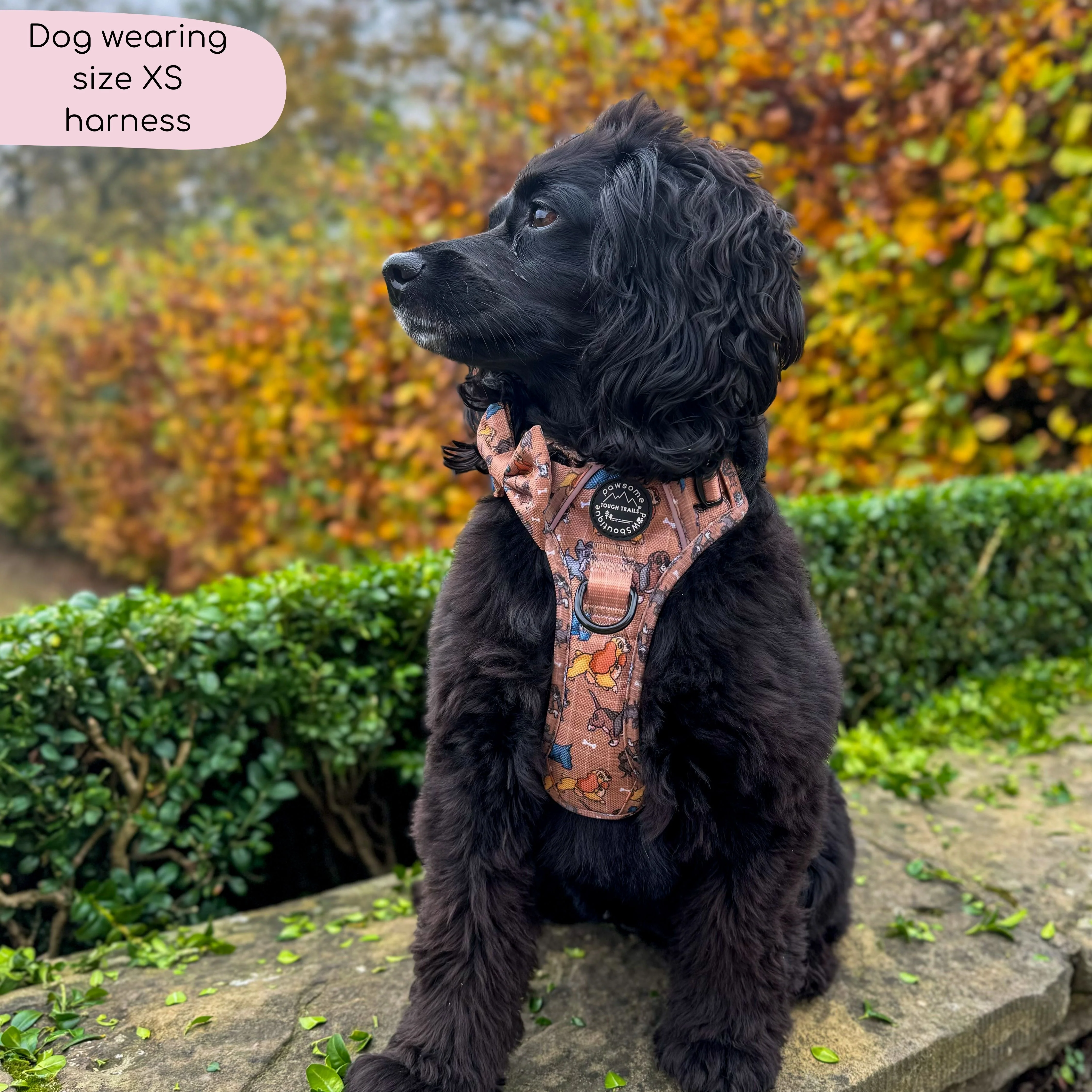 Disney© Tough Trails™ Harness - Disney Dogs - Image 16