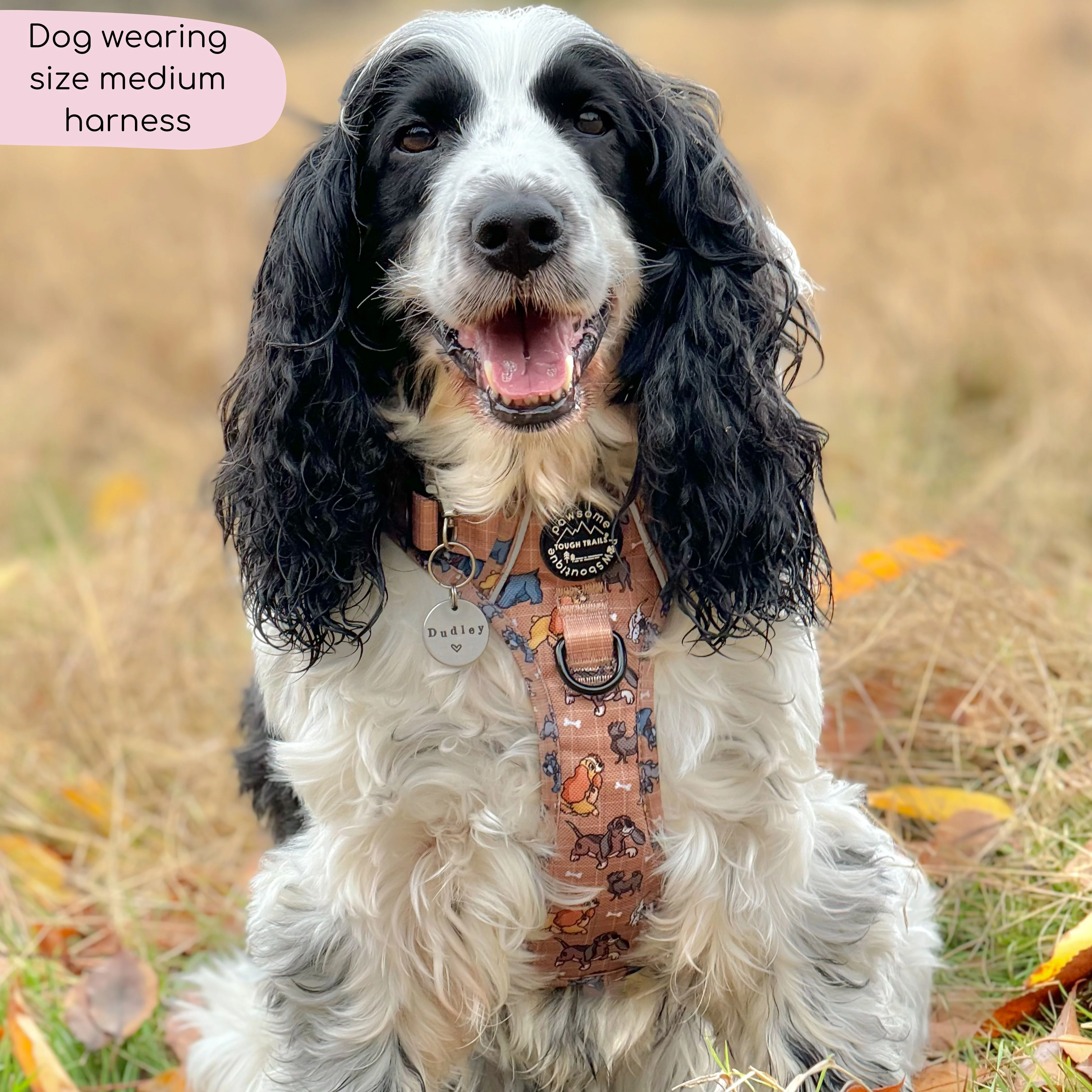 Disney© Tough Trails™ Harness - Disney Dogs - Image 23