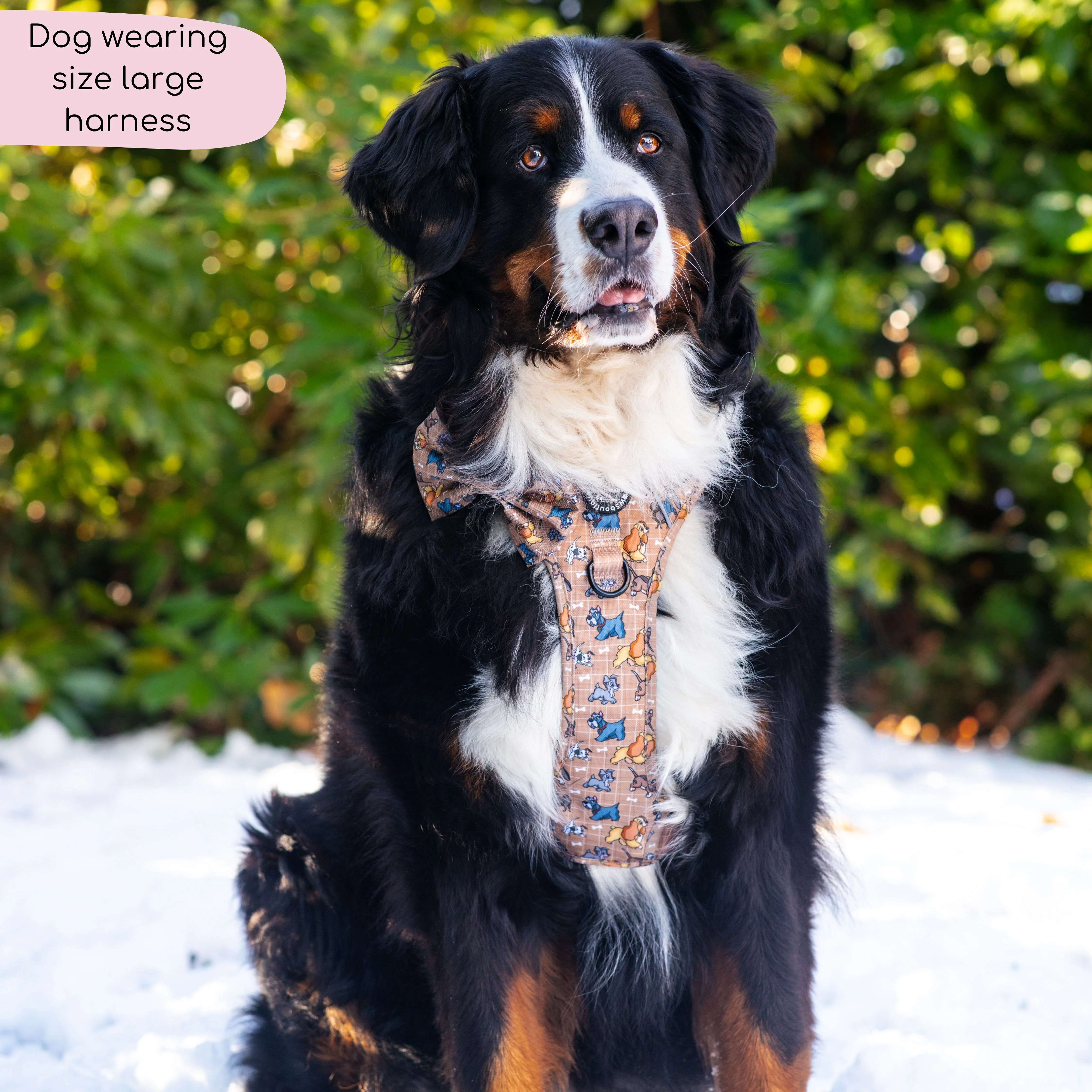 Disney© Tough Trails™ Harness - Disney Dogs - Image 9