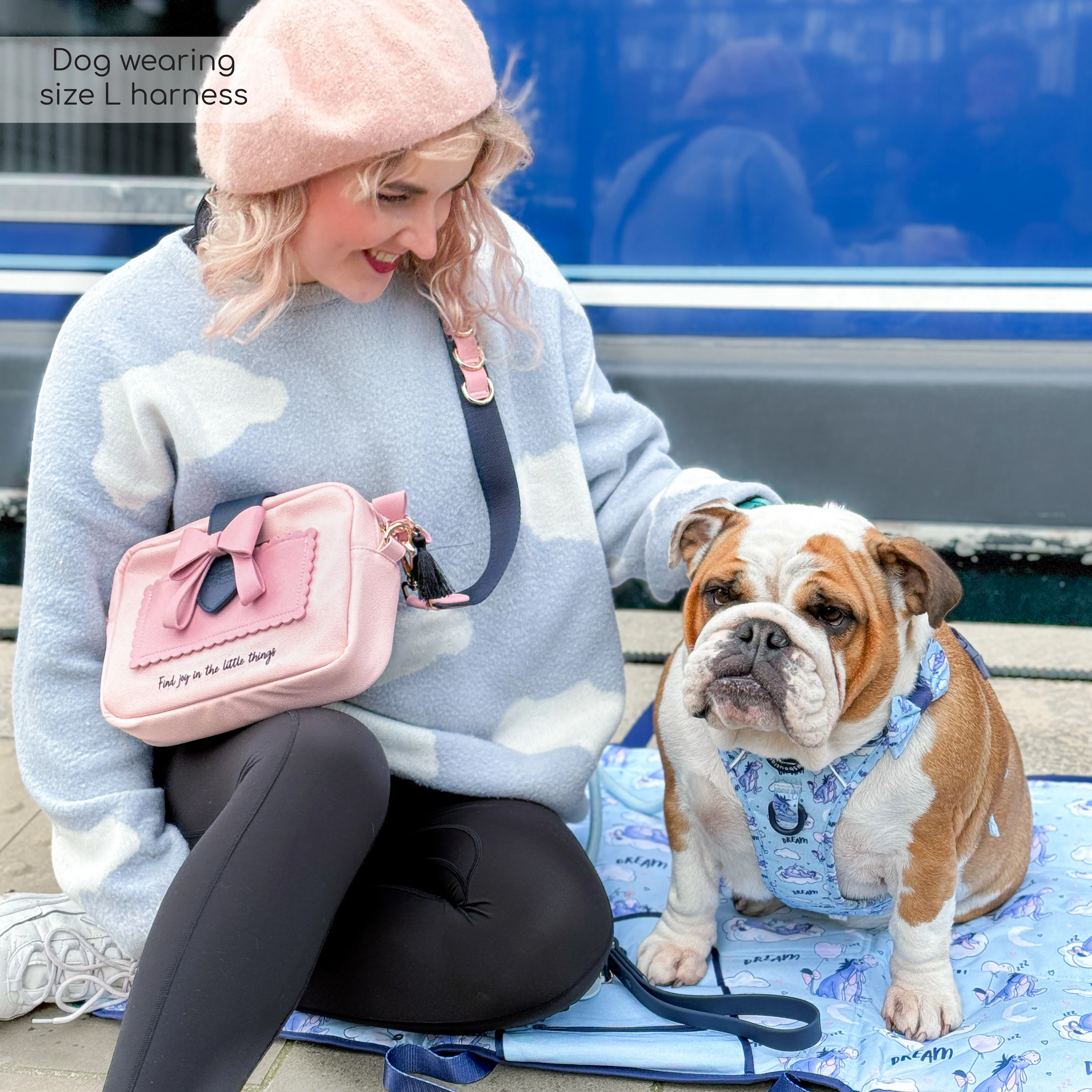 Disney© Tough Trails™ Harness - Eeyore - Image 12