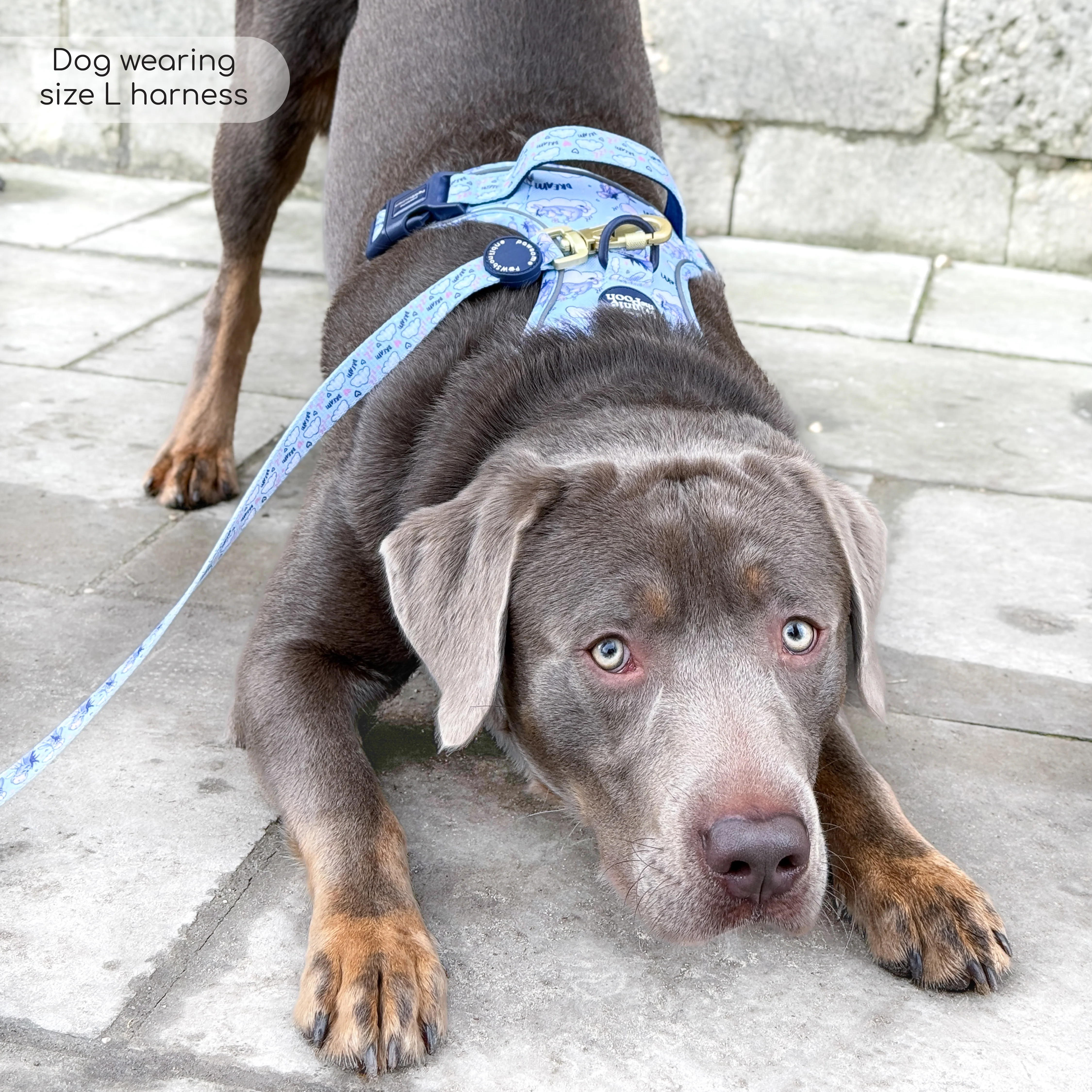 Disney© Tough Trails™ Harness - Eeyore - Image 23