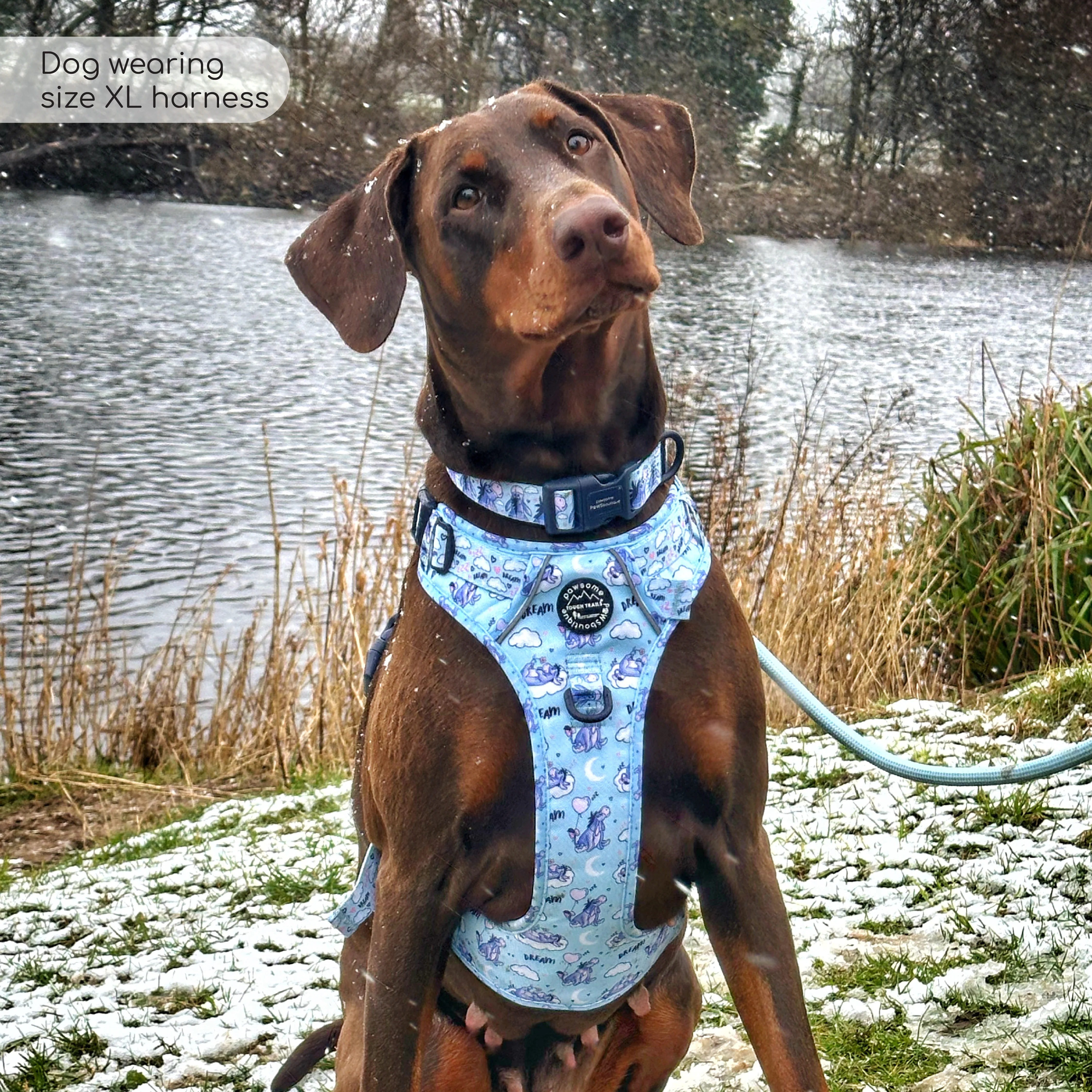 Disney© Tough Trails™ Harness - Eeyore - Image 28