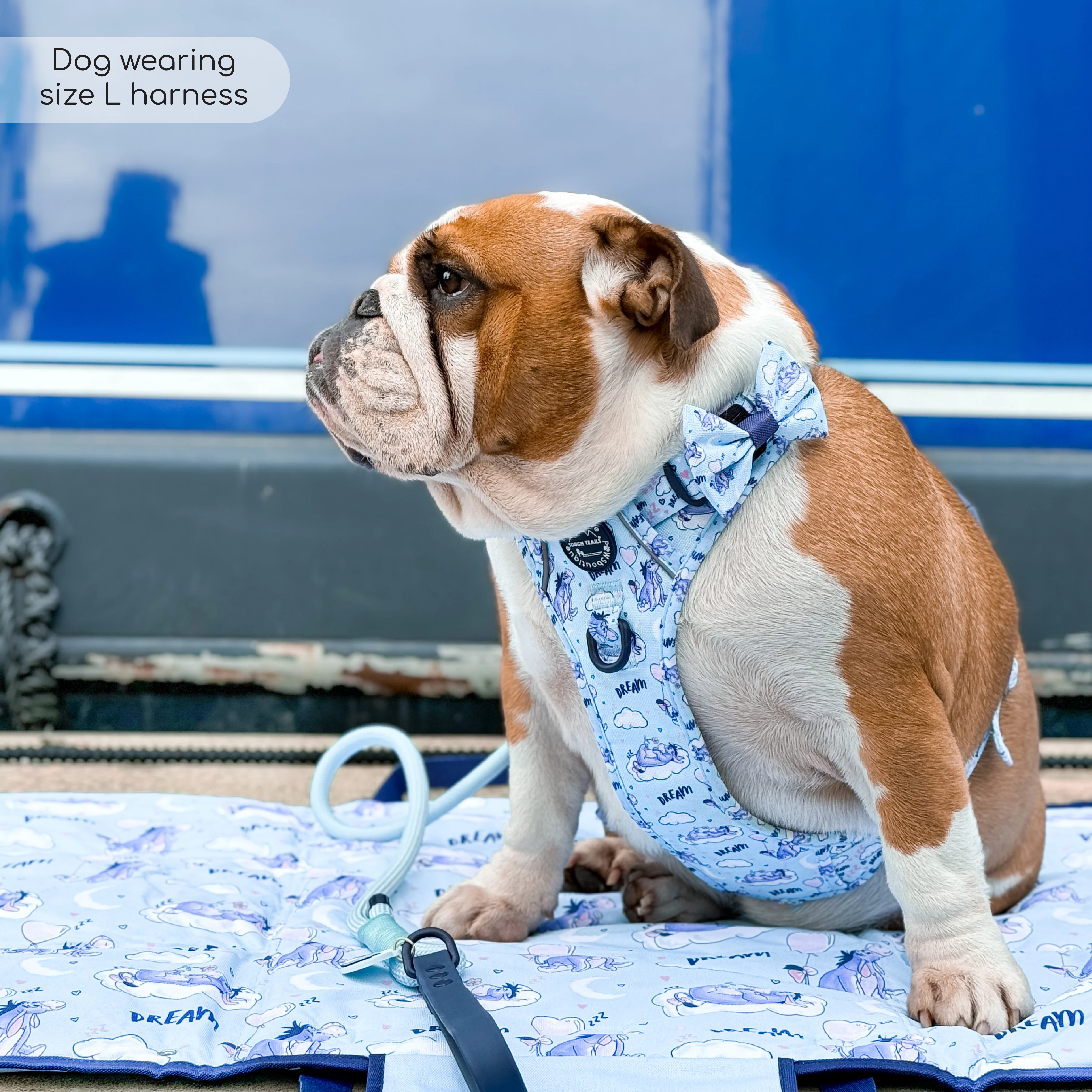 Disney© Tough Trails™ Harness - Eeyore - Image 31