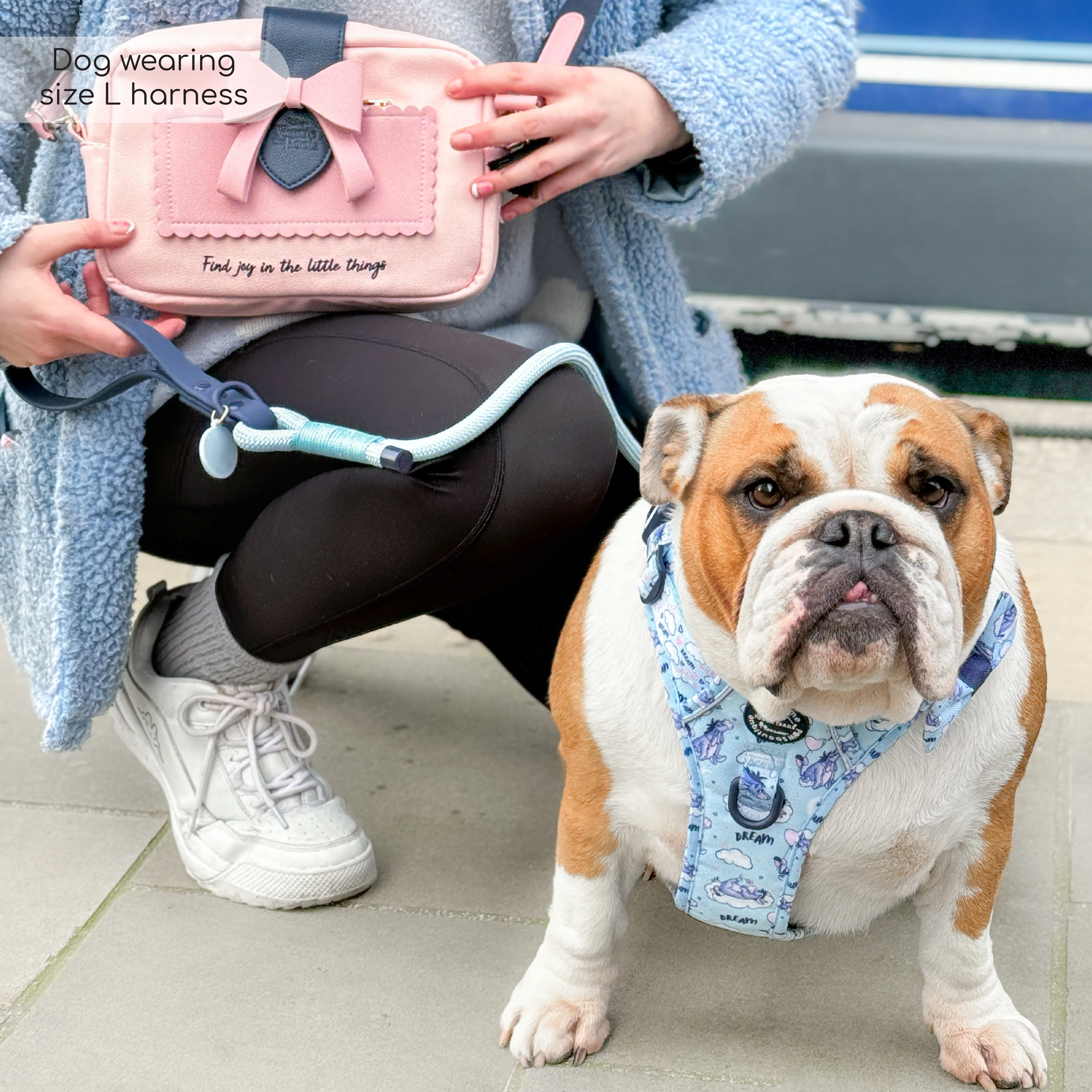 Disney© Tough Trails™ Harness - Eeyore - Image 33