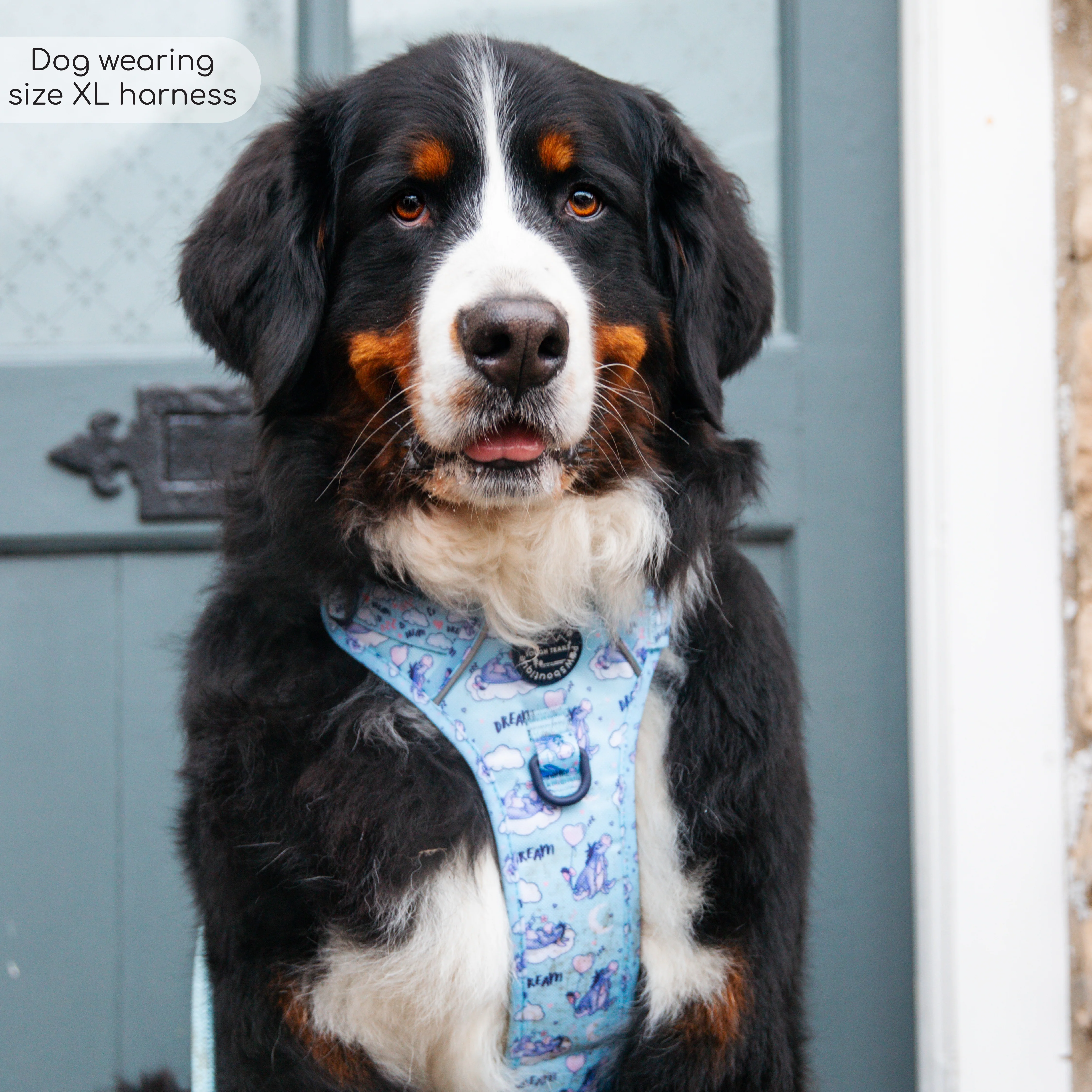 Disney© Tough Trails™ Harness - Eeyore - Image 35