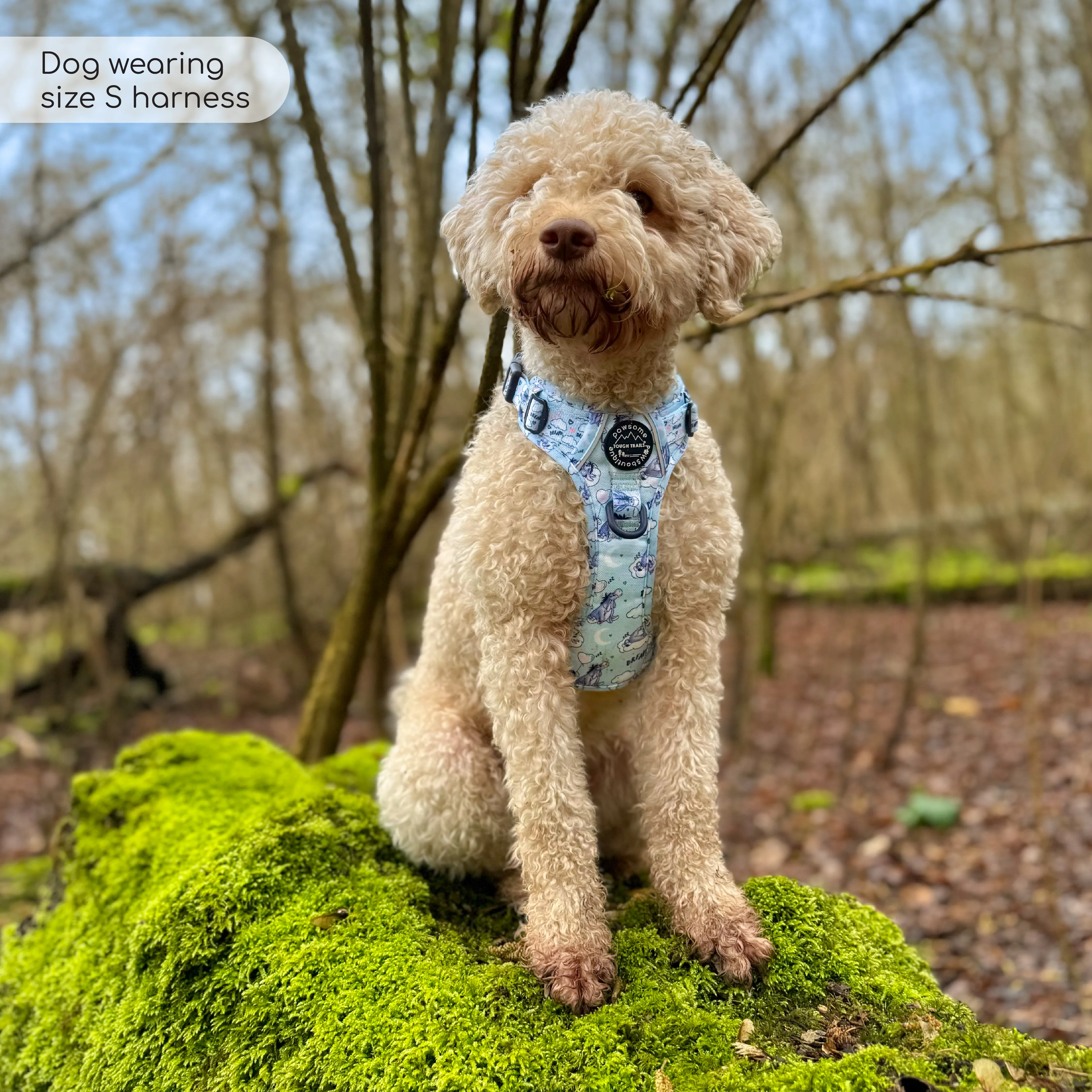 Disney© Tough Trails™ Harness - Eeyore - Image 50