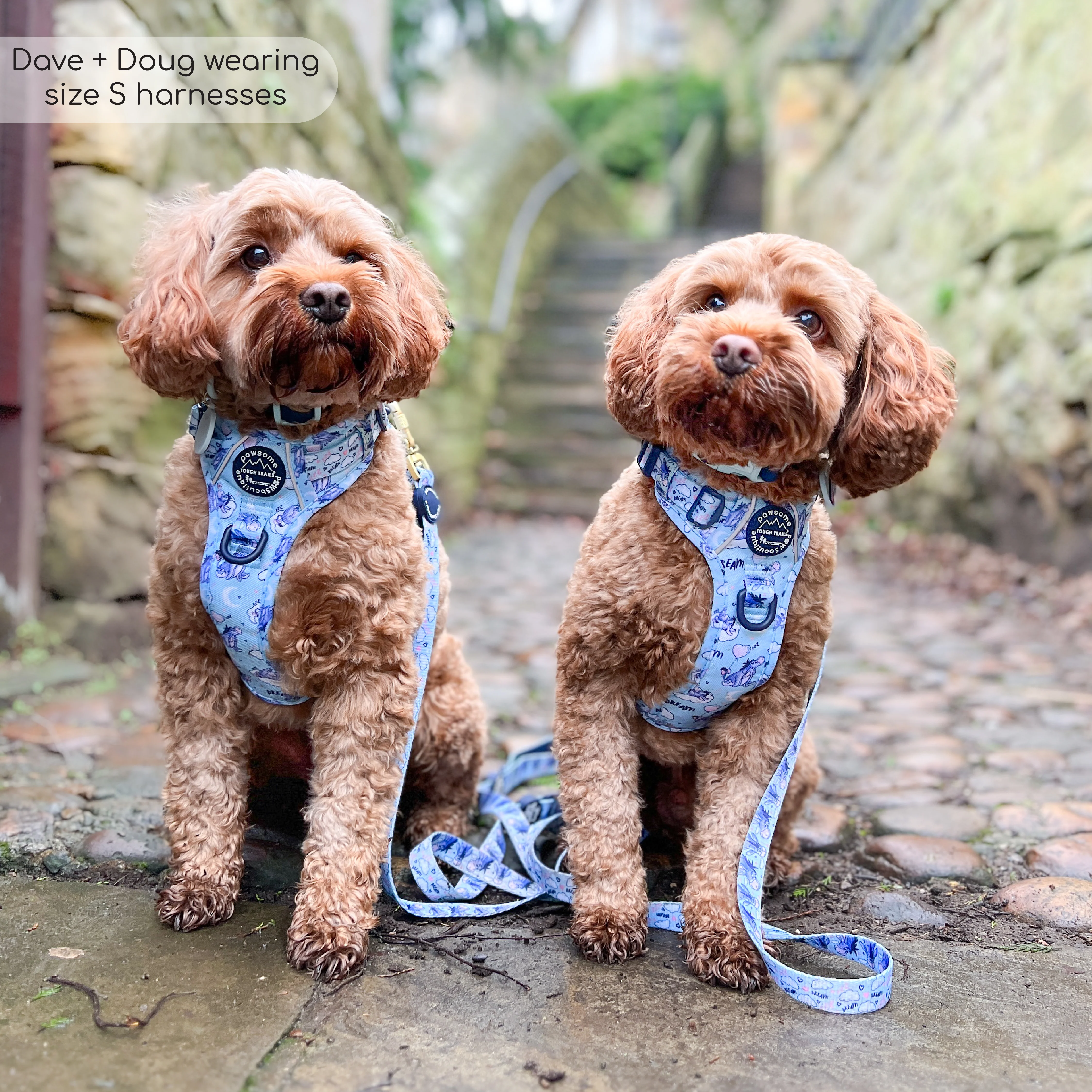 Disney© Tough Trails™ Harness - Eeyore - Image 9