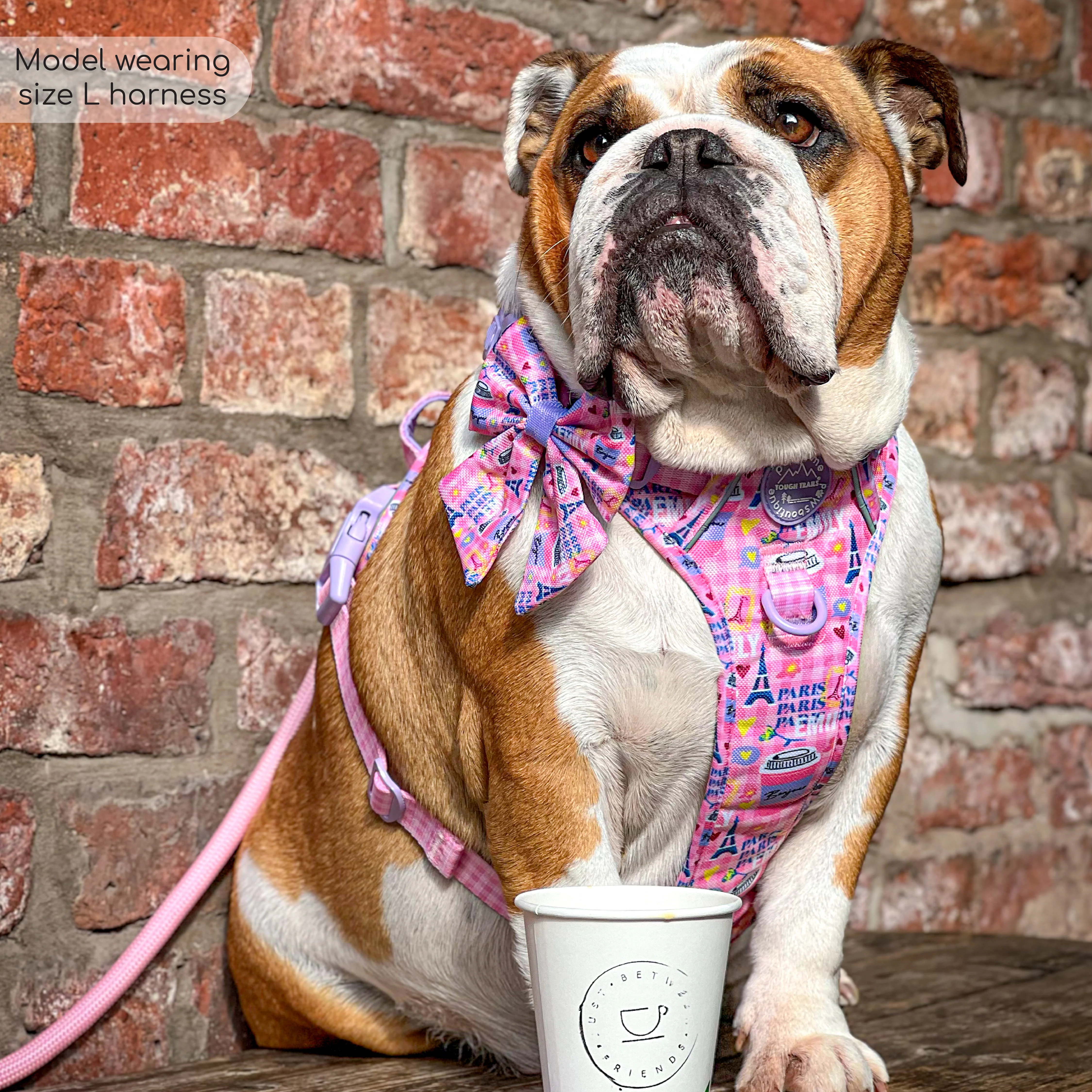 Tough Trails™ Harness - Emily In Paris - Image 10