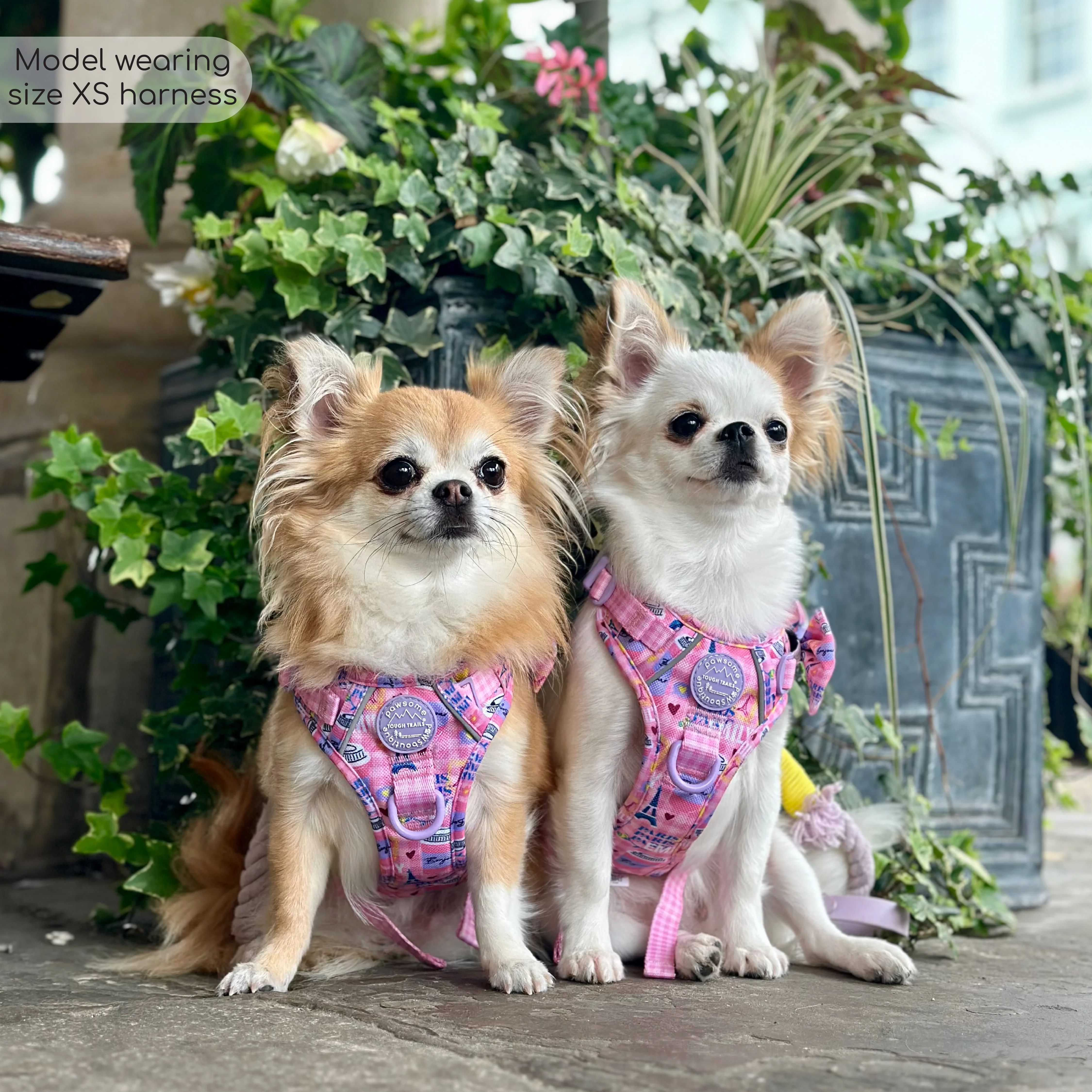 Tough Trails™ Harness - Emily In Paris - Image 14