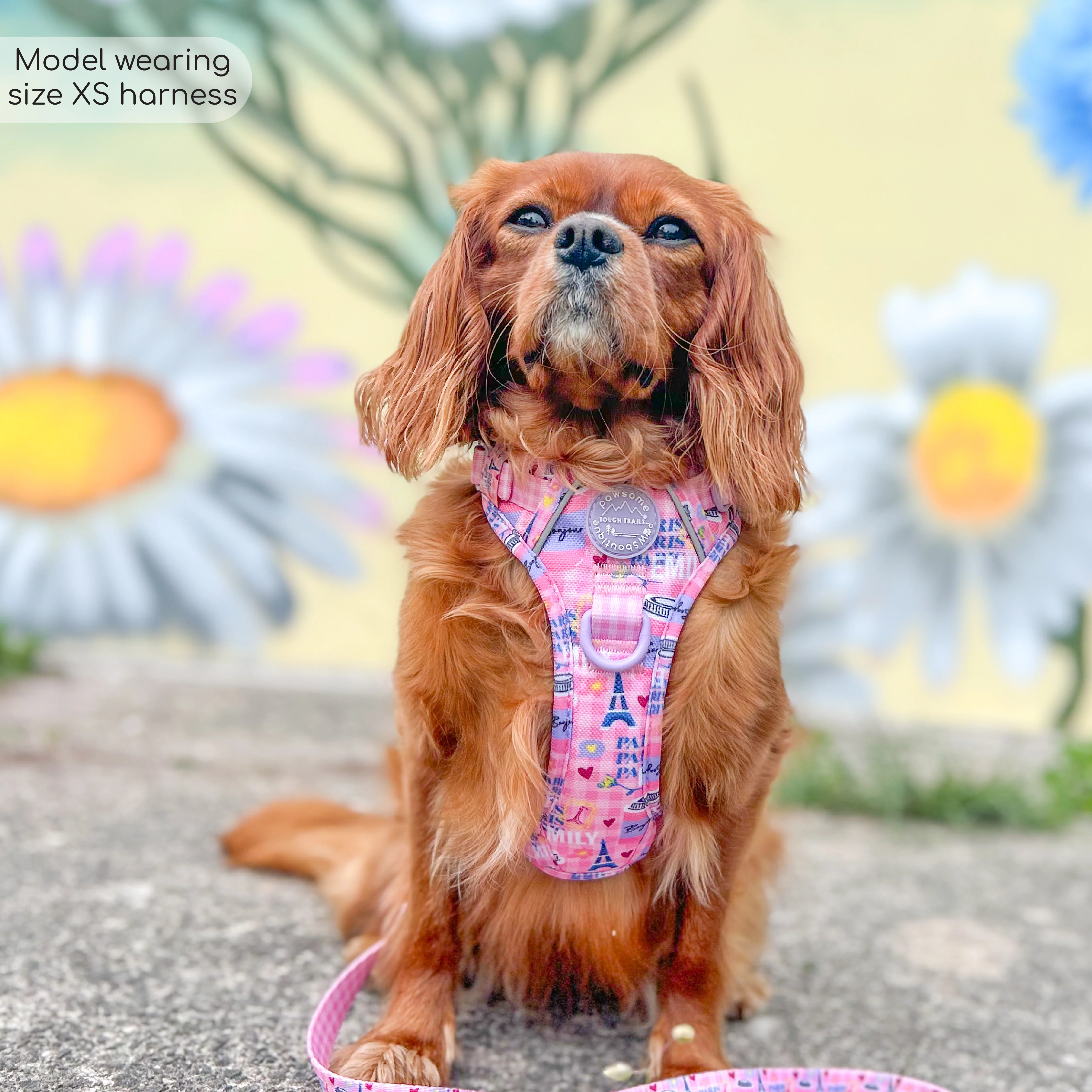 Tough Trails™ Harness - Emily In Paris - Image 15