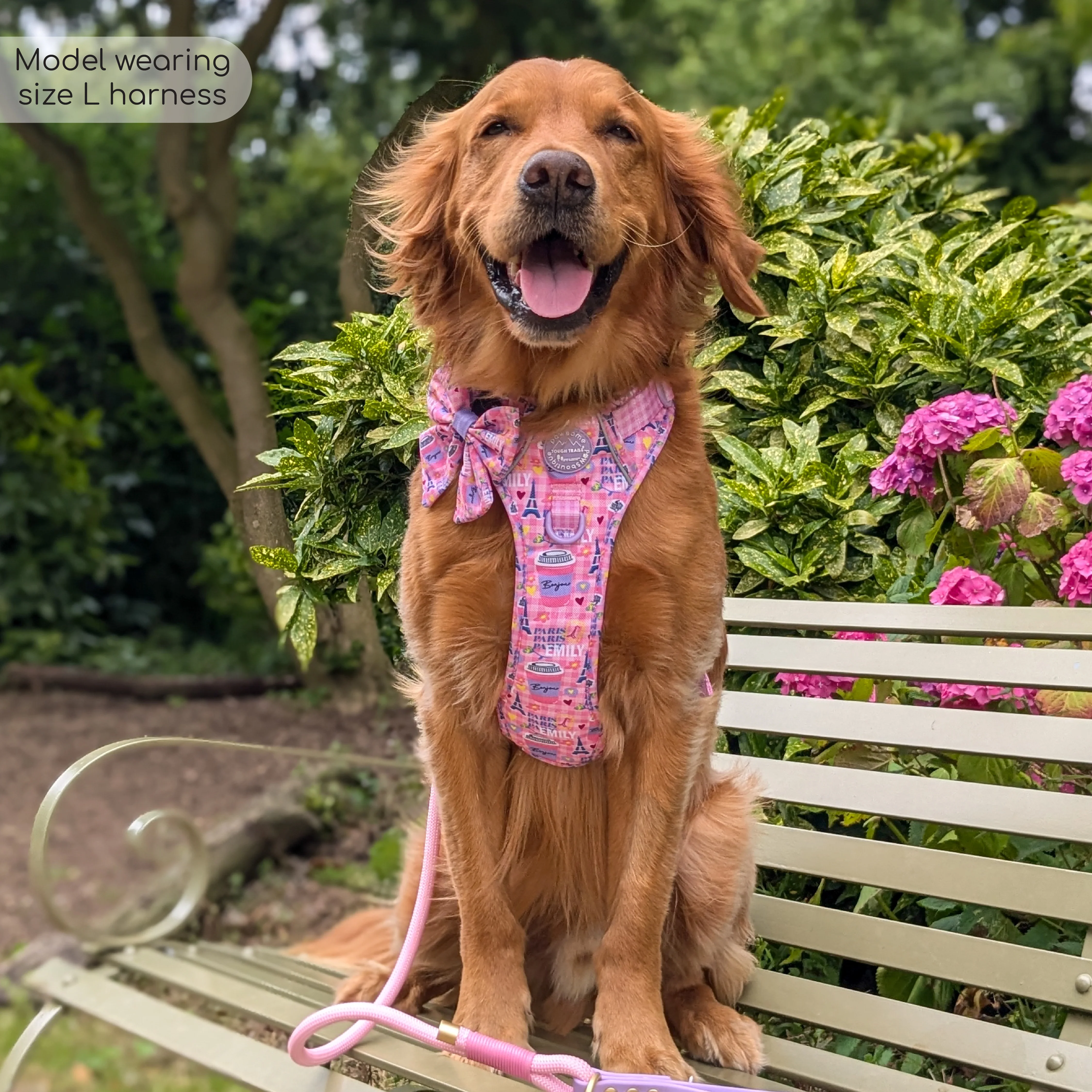 Tough Trails™ Harness - Emily In Paris - Image 7