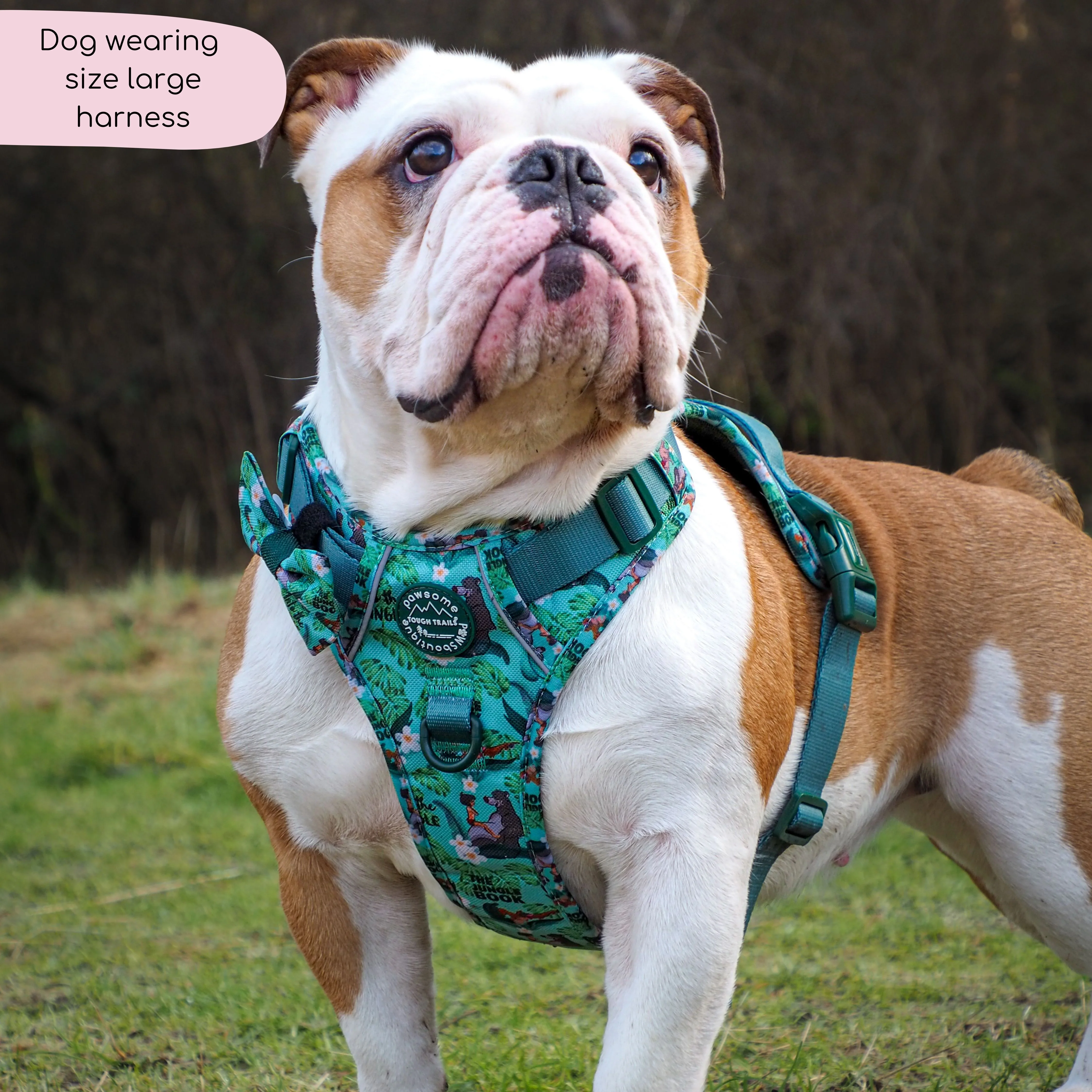 Disney© Tough Trails™ Harness - Jungle Book - Image 11
