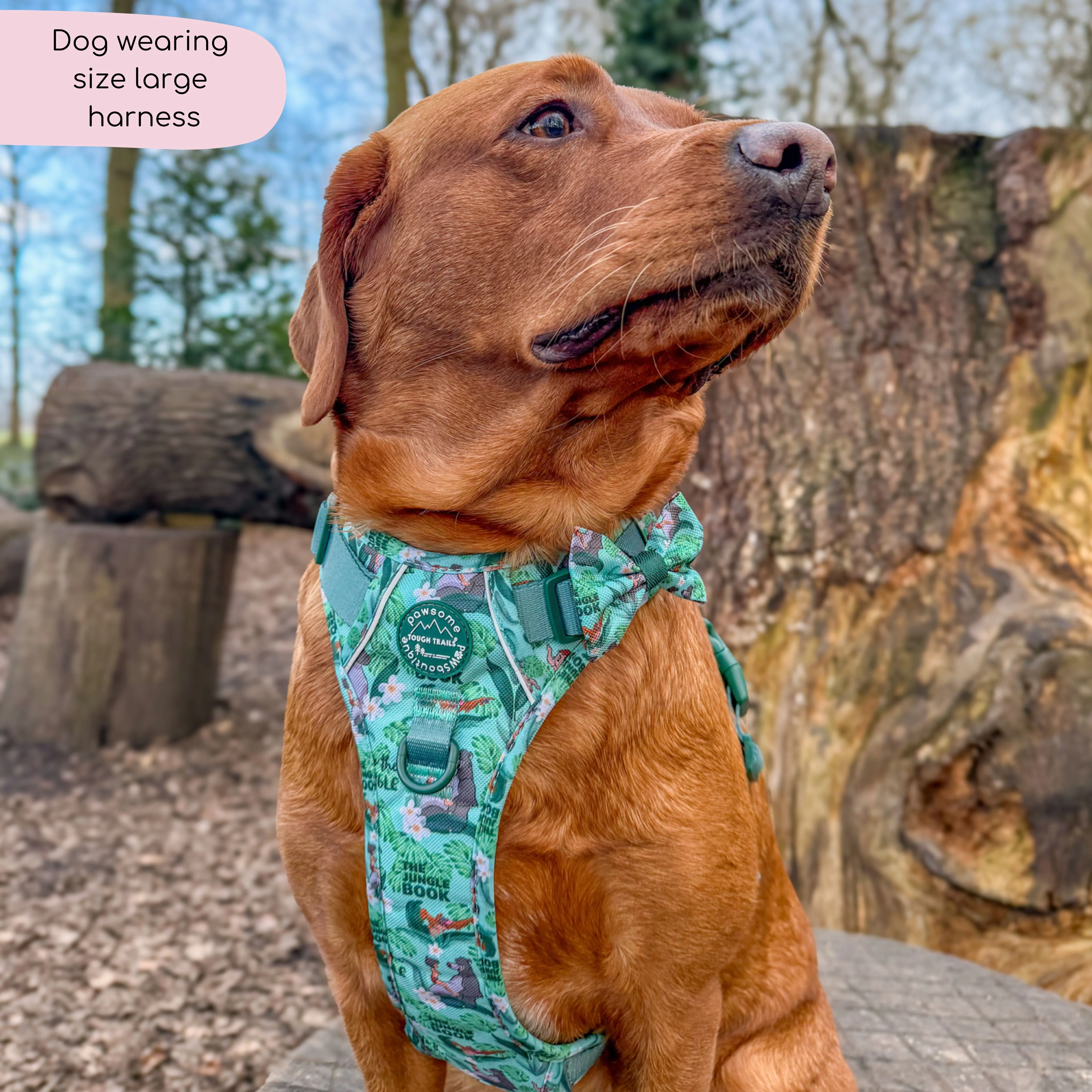 Disney© Tough Trails™ Harness - Jungle Book - Image 21
