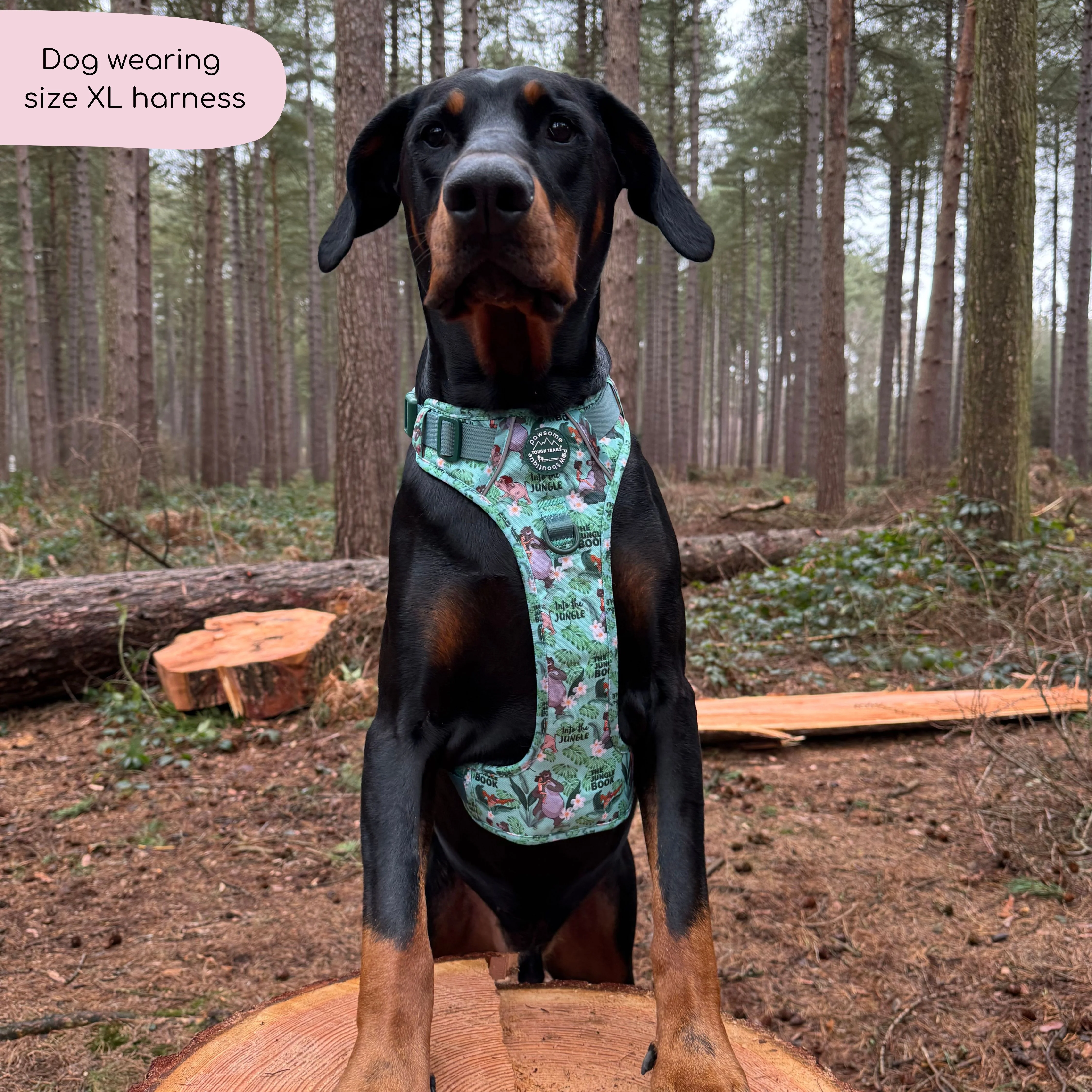 Disney© Tough Trails™ Harness - Jungle Book - Image 27