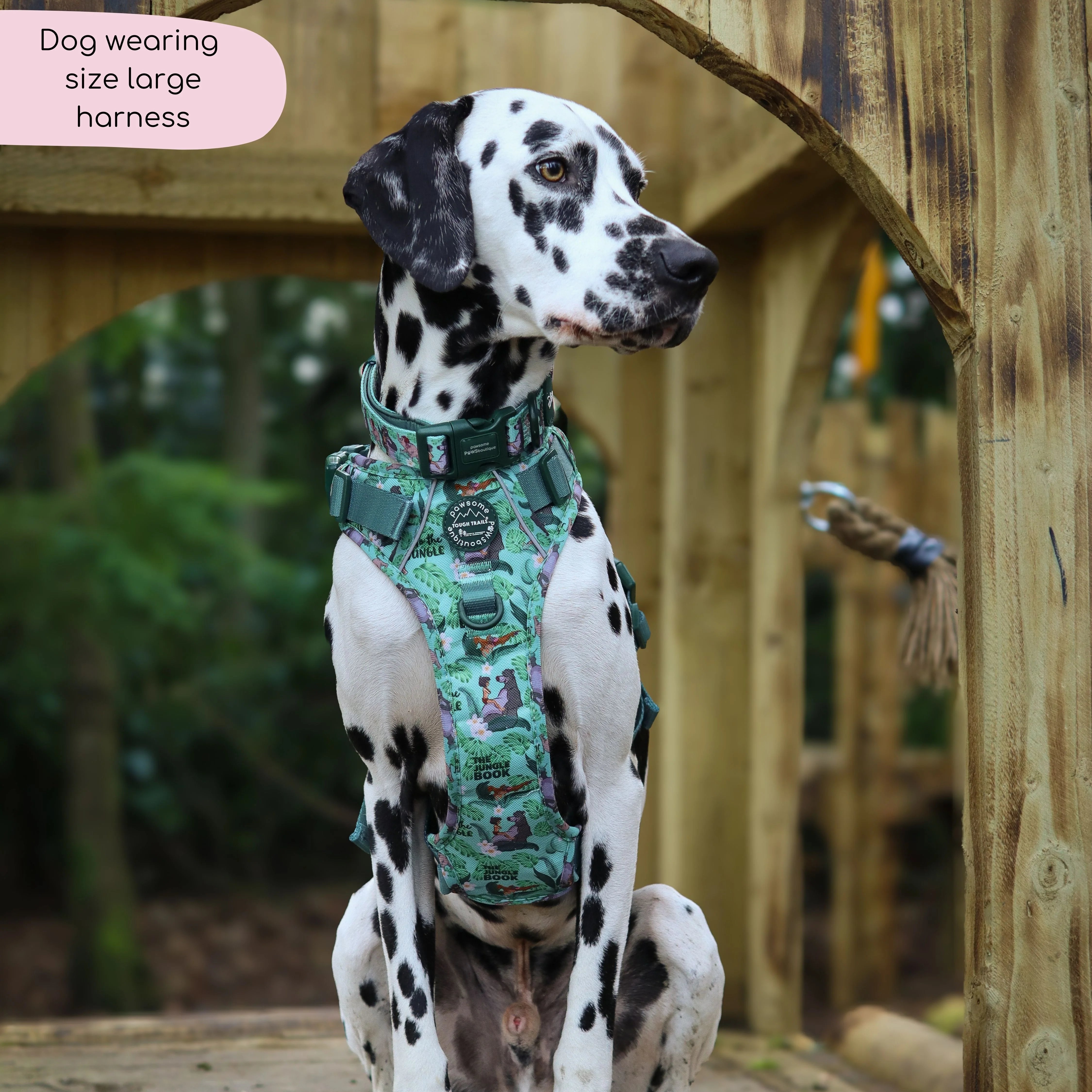 Disney© Tough Trails™ Harness - Jungle Book - Image 8