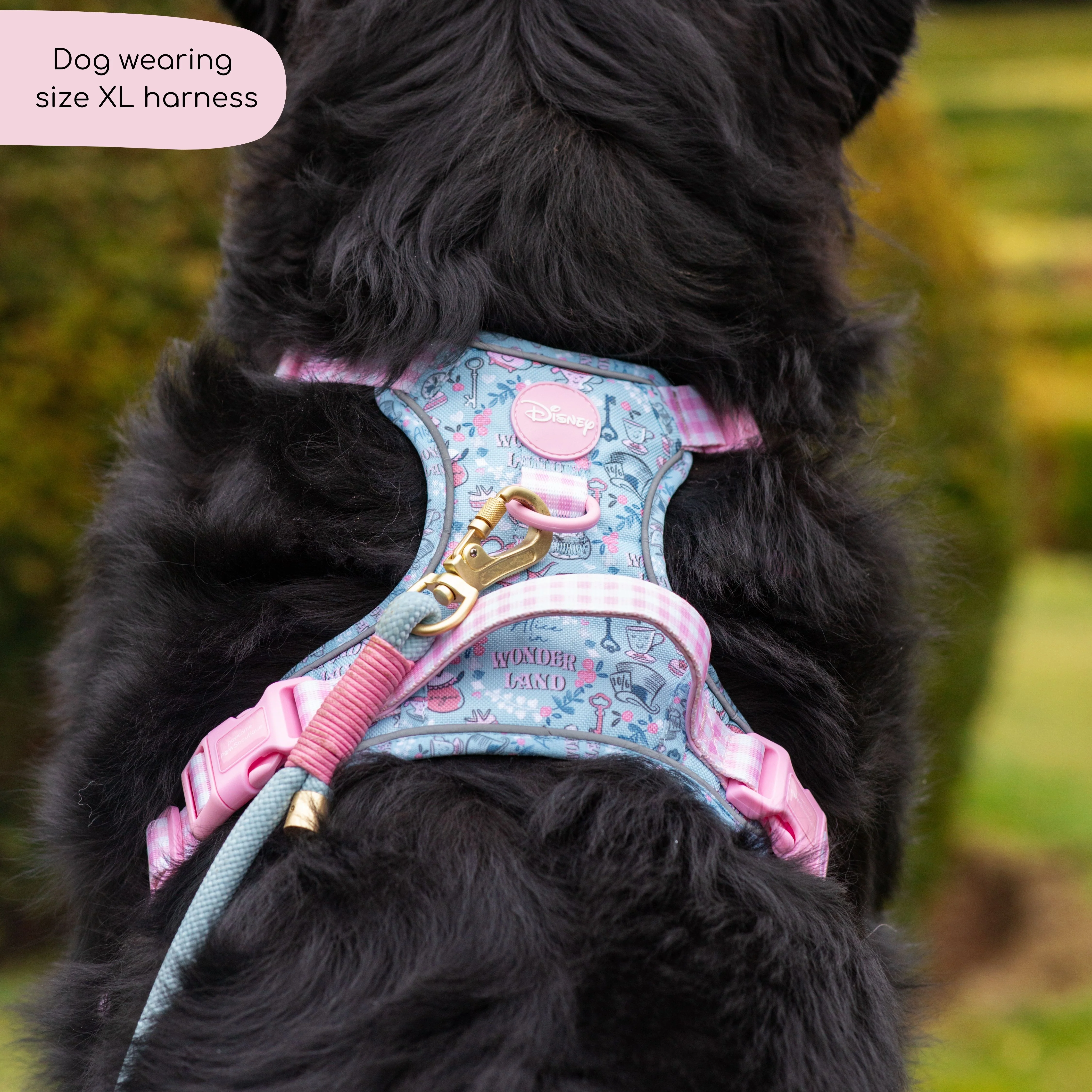 Disney© Tough Trails™ Harness - Mad Hatters Tea Party - Image 22