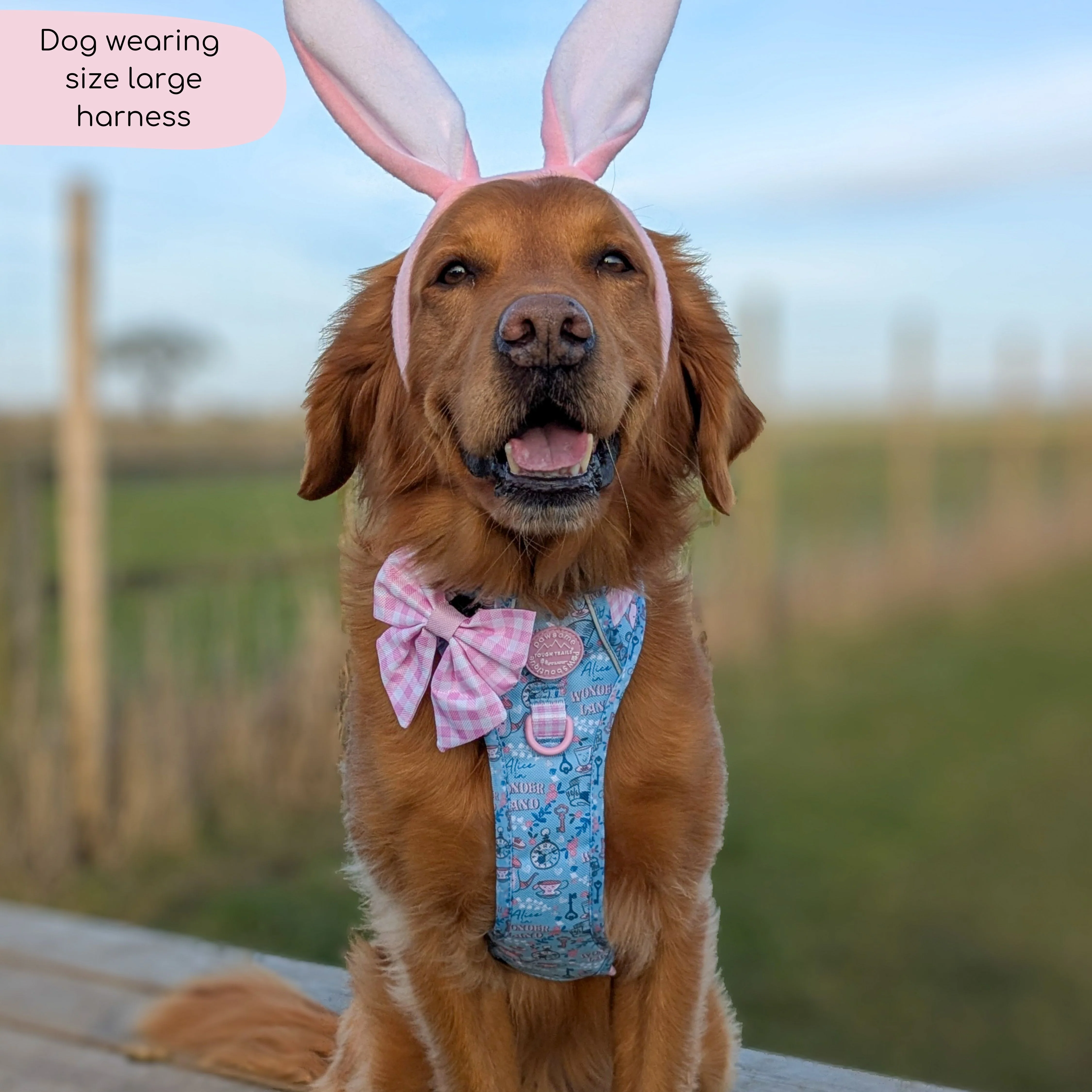 Disney© Tough Trails™ Harness - Mad Hatters Tea Party - Image 24