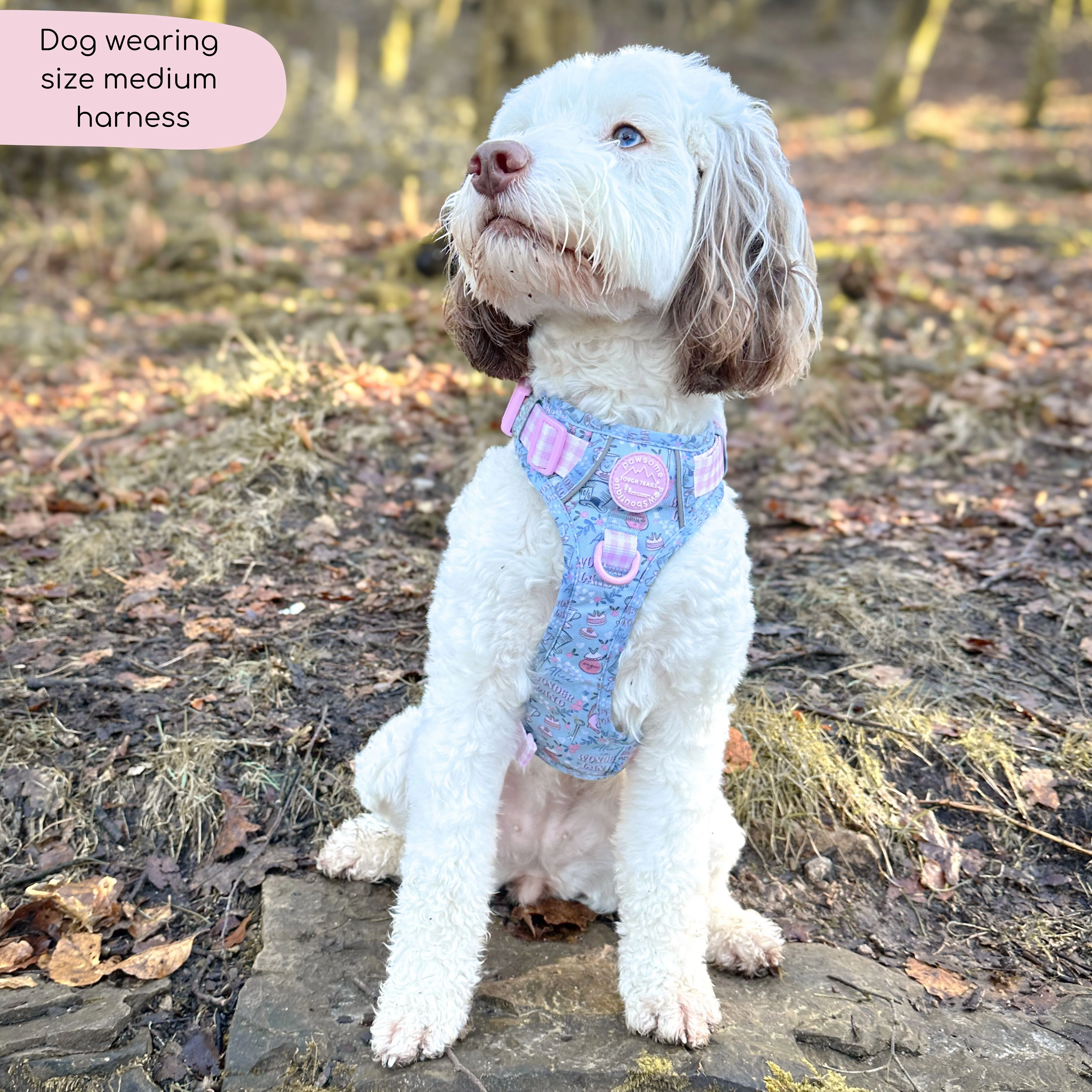 Disney© Tough Trails™ Harness - Mad Hatters Tea Party - Image 25