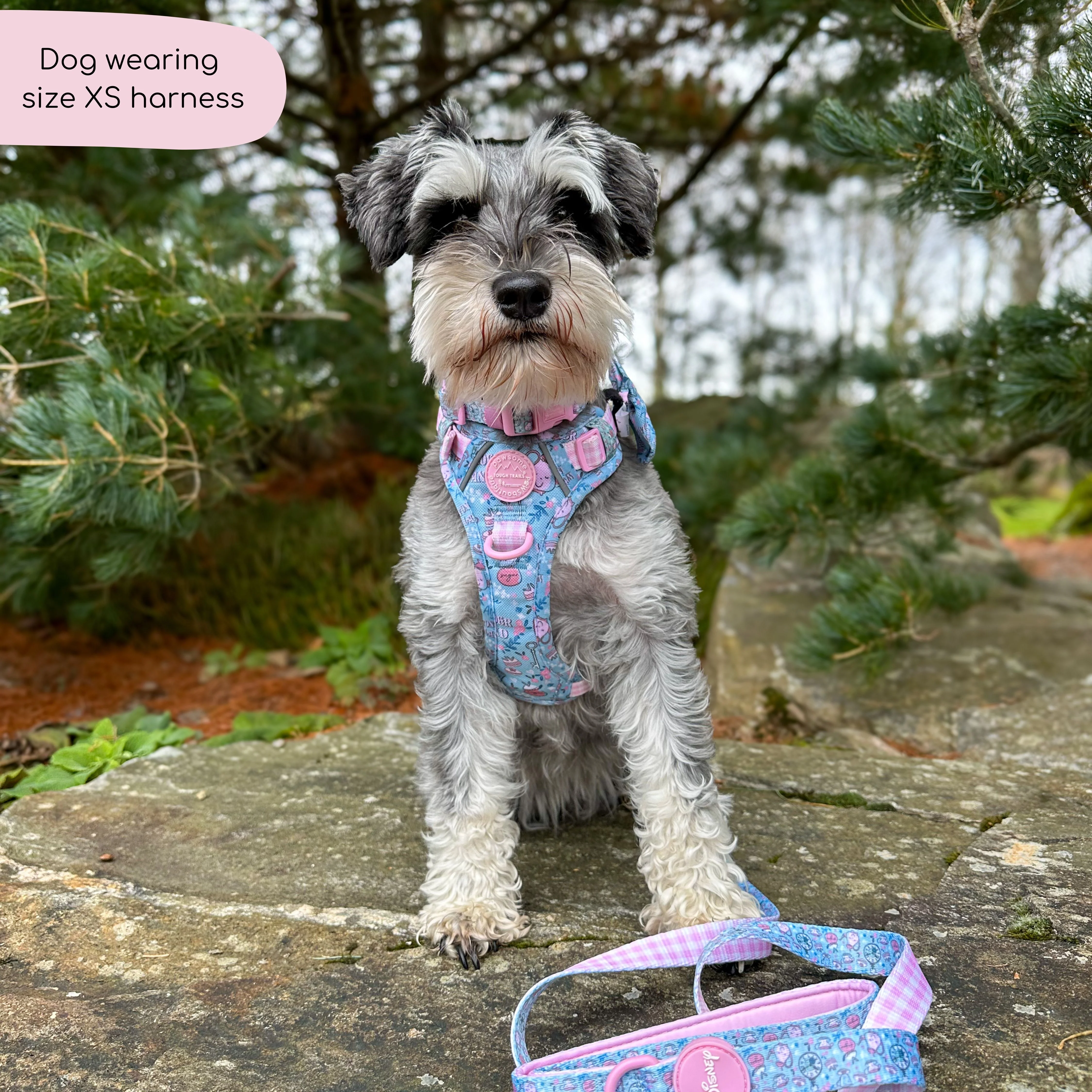 Disney© Tough Trails™ Harness - Mad Hatters Tea Party - Image 29