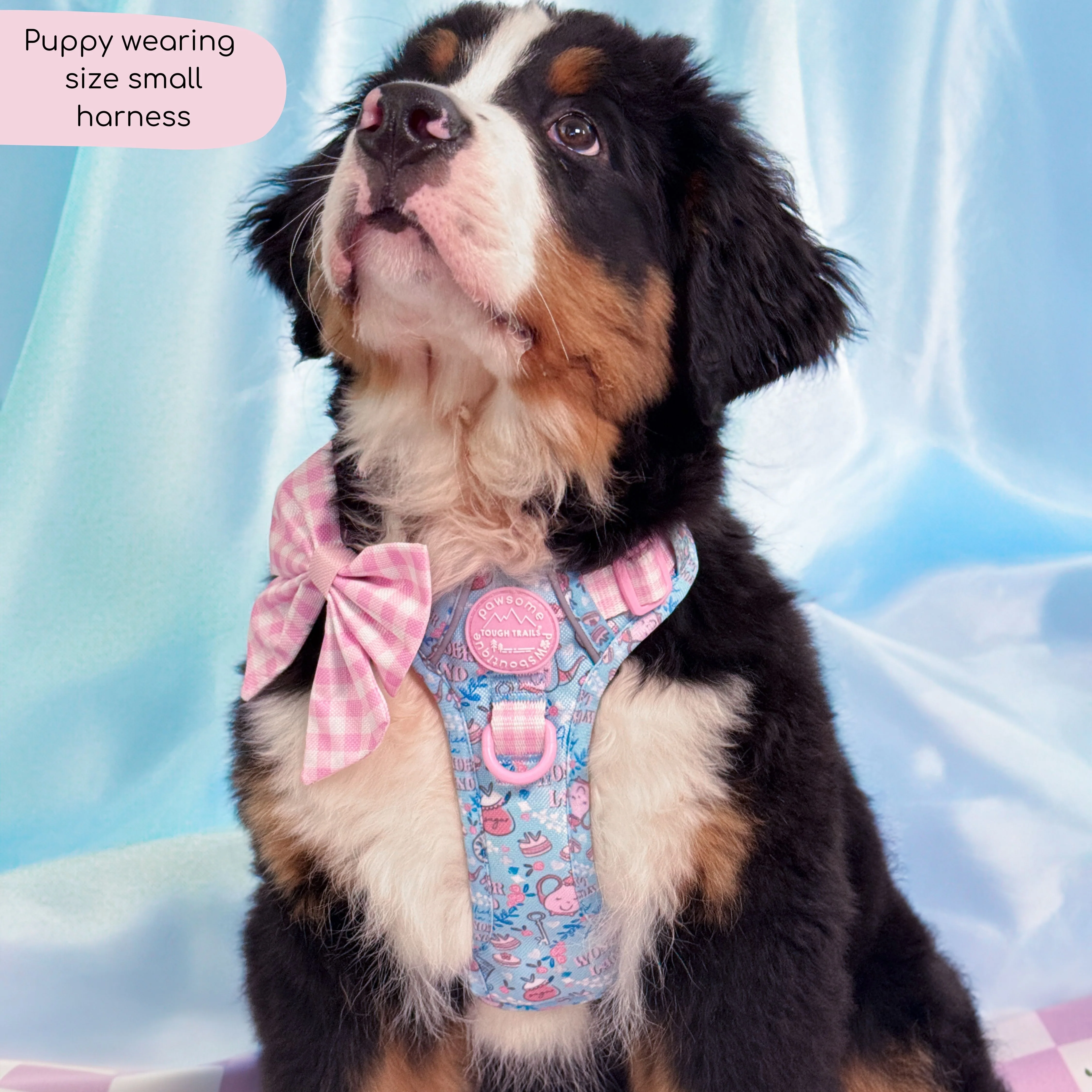 Disney© Tough Trails™ Harness - Mad Hatters Tea Party - Image 5