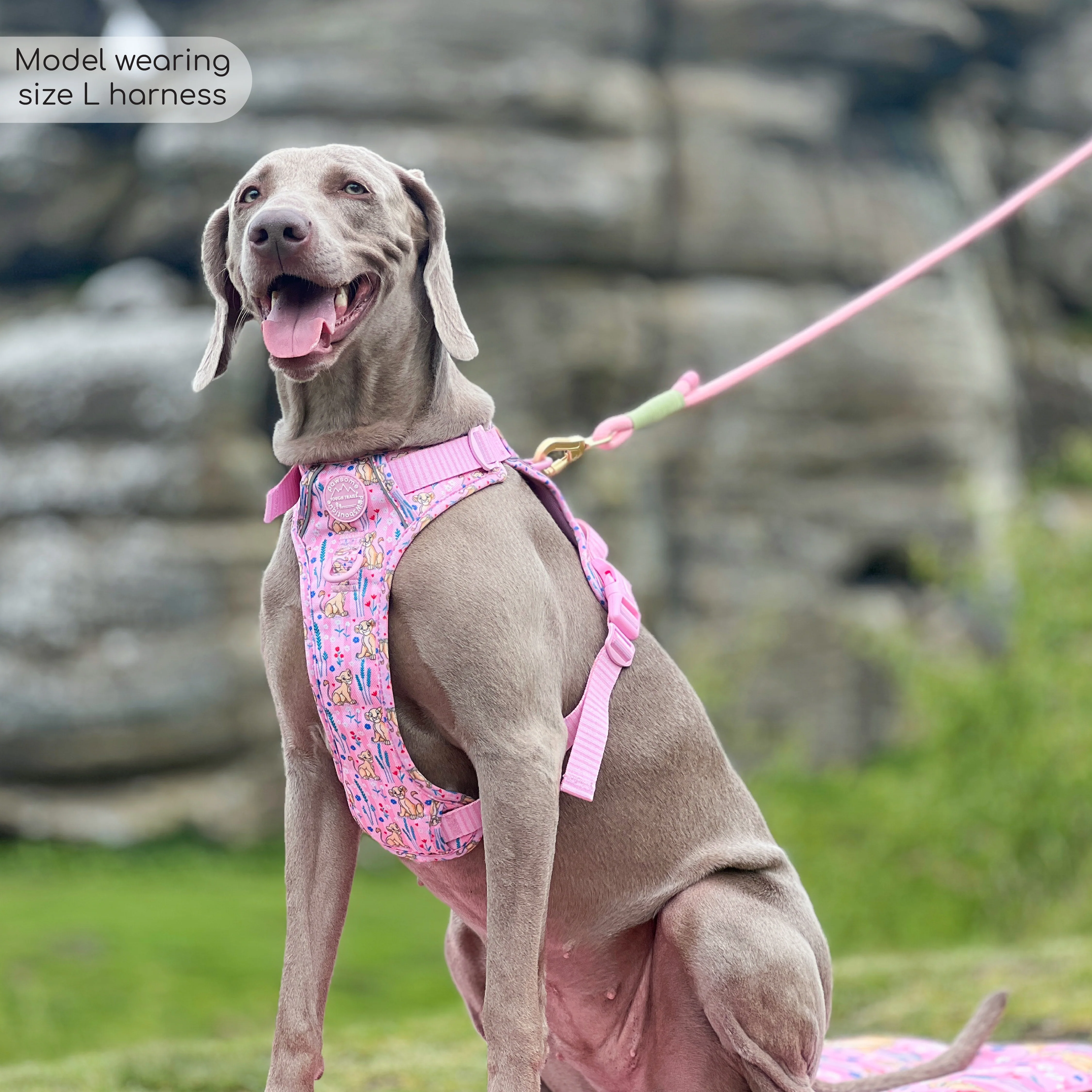 Disney© Tough Trails™ Harness - Nala - Image 16