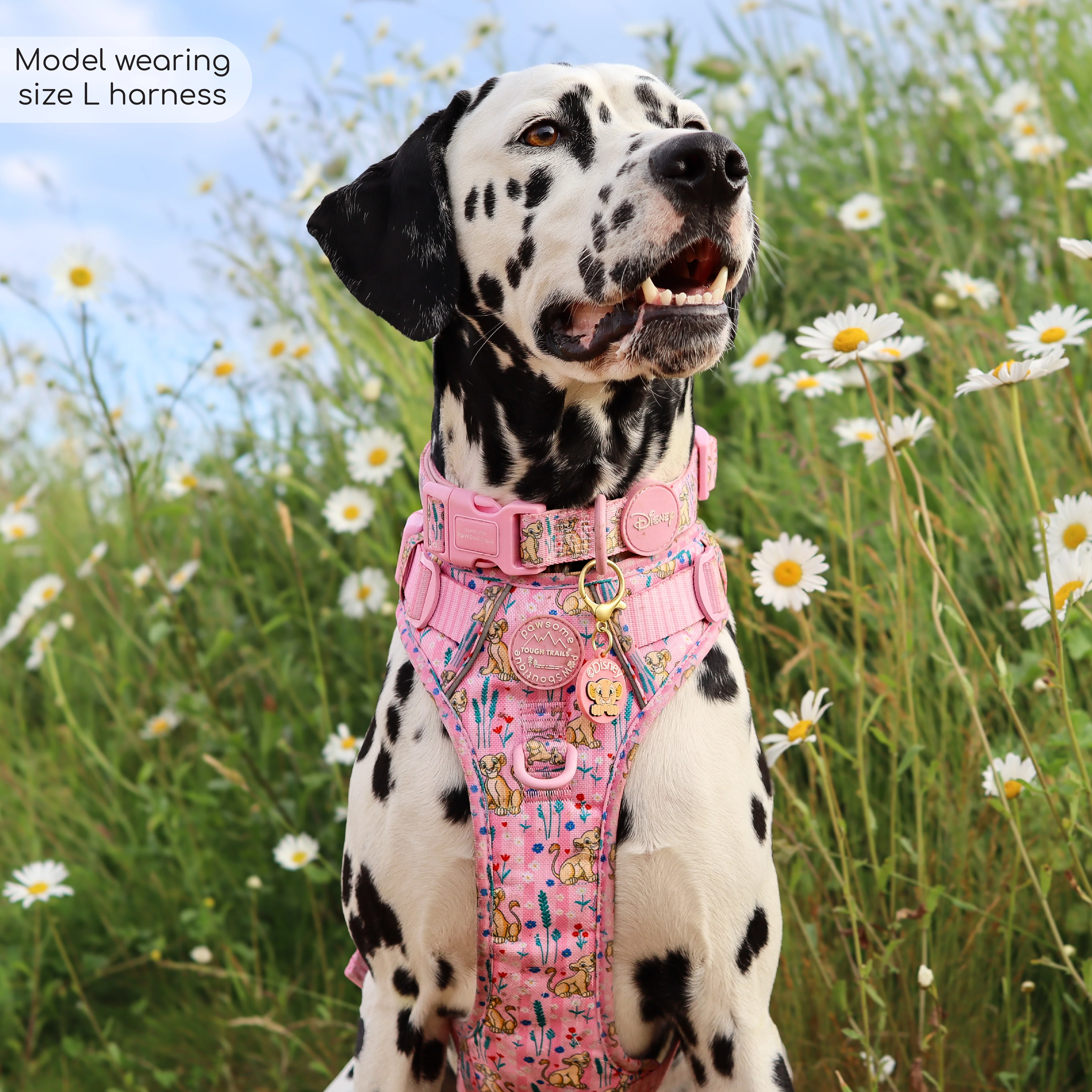 Disney© Tough Trails™ Harness - Nala - Image 25