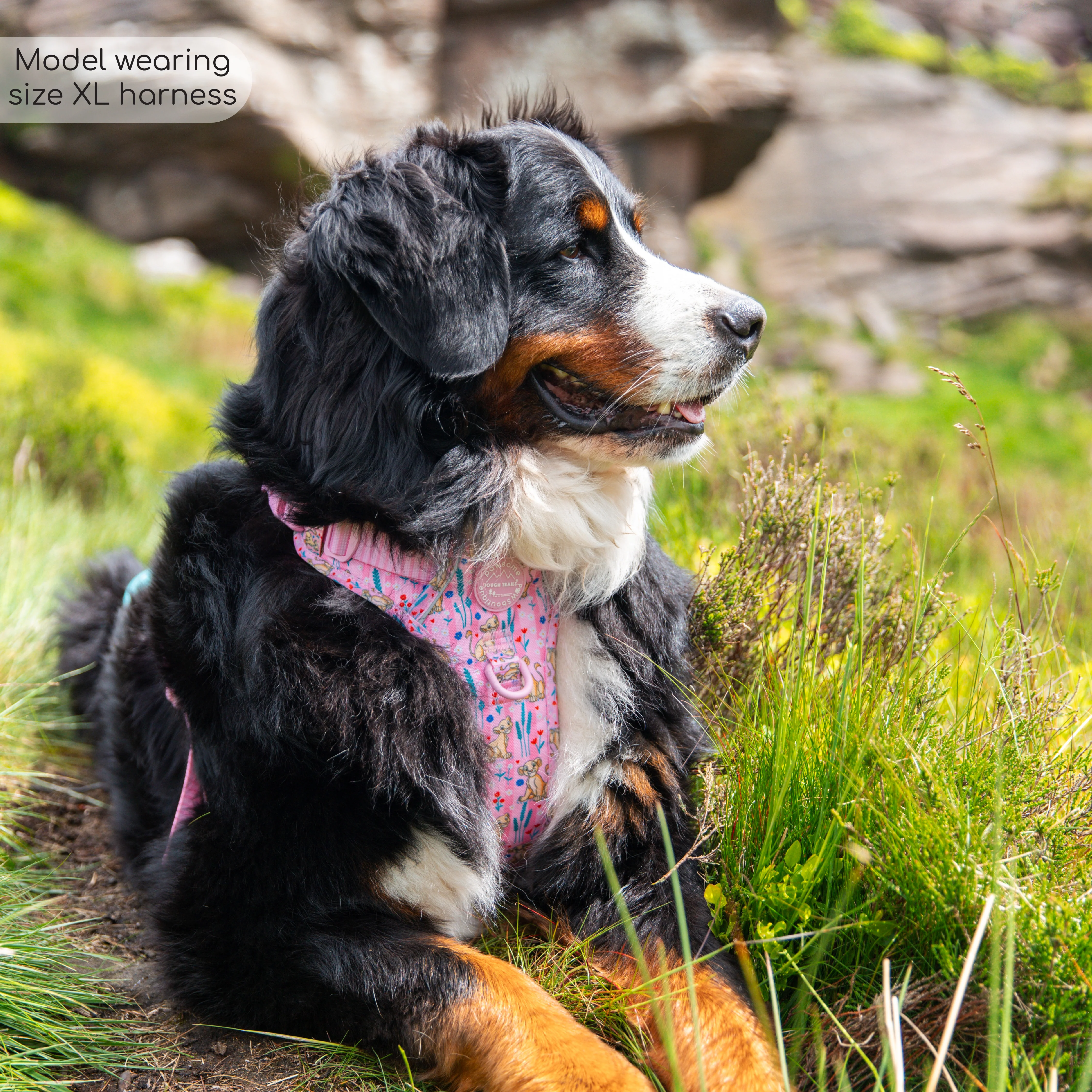 Disney© Tough Trails™ Harness - Nala - Image 26