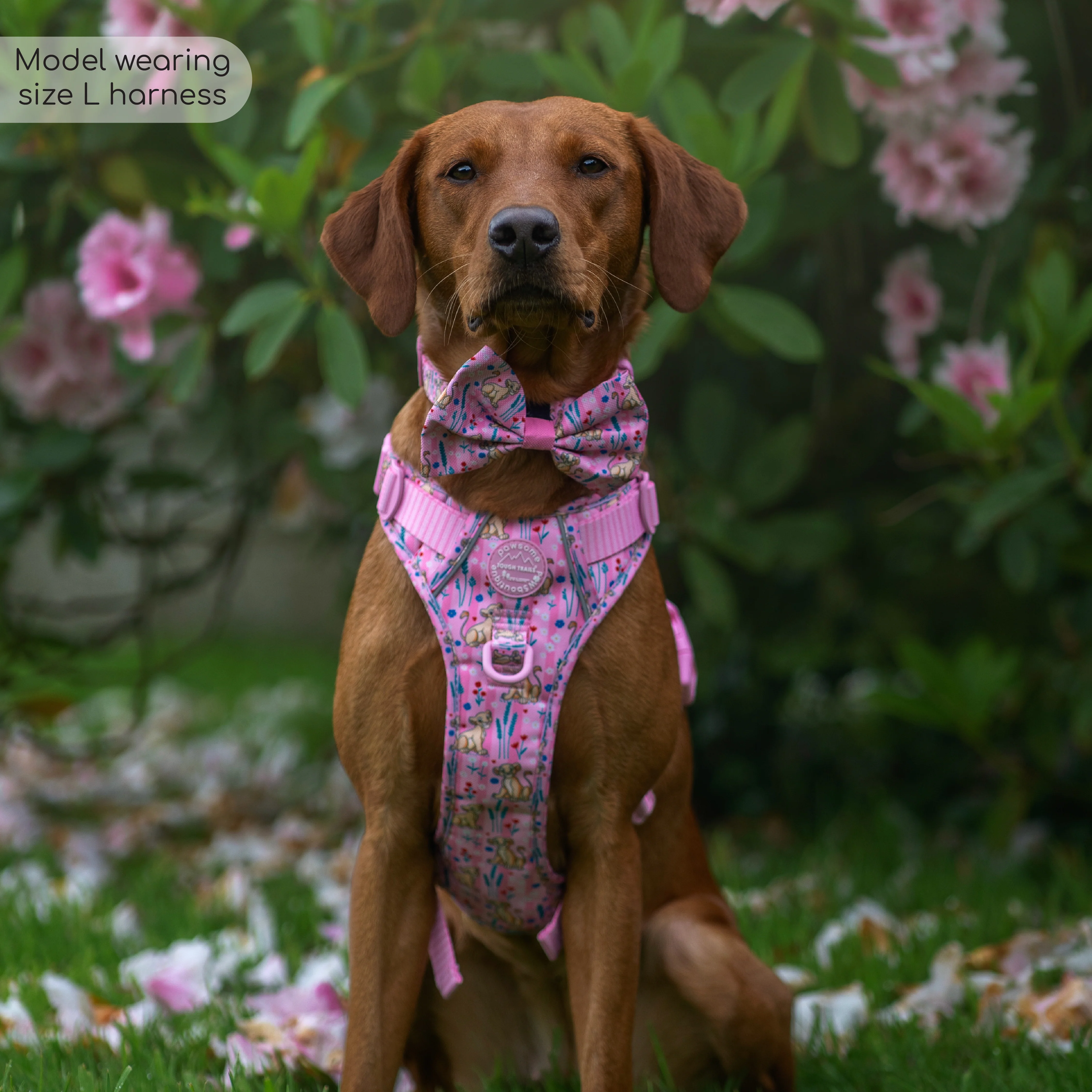 Disney© Tough Trails™ Harness - Nala - Image 6